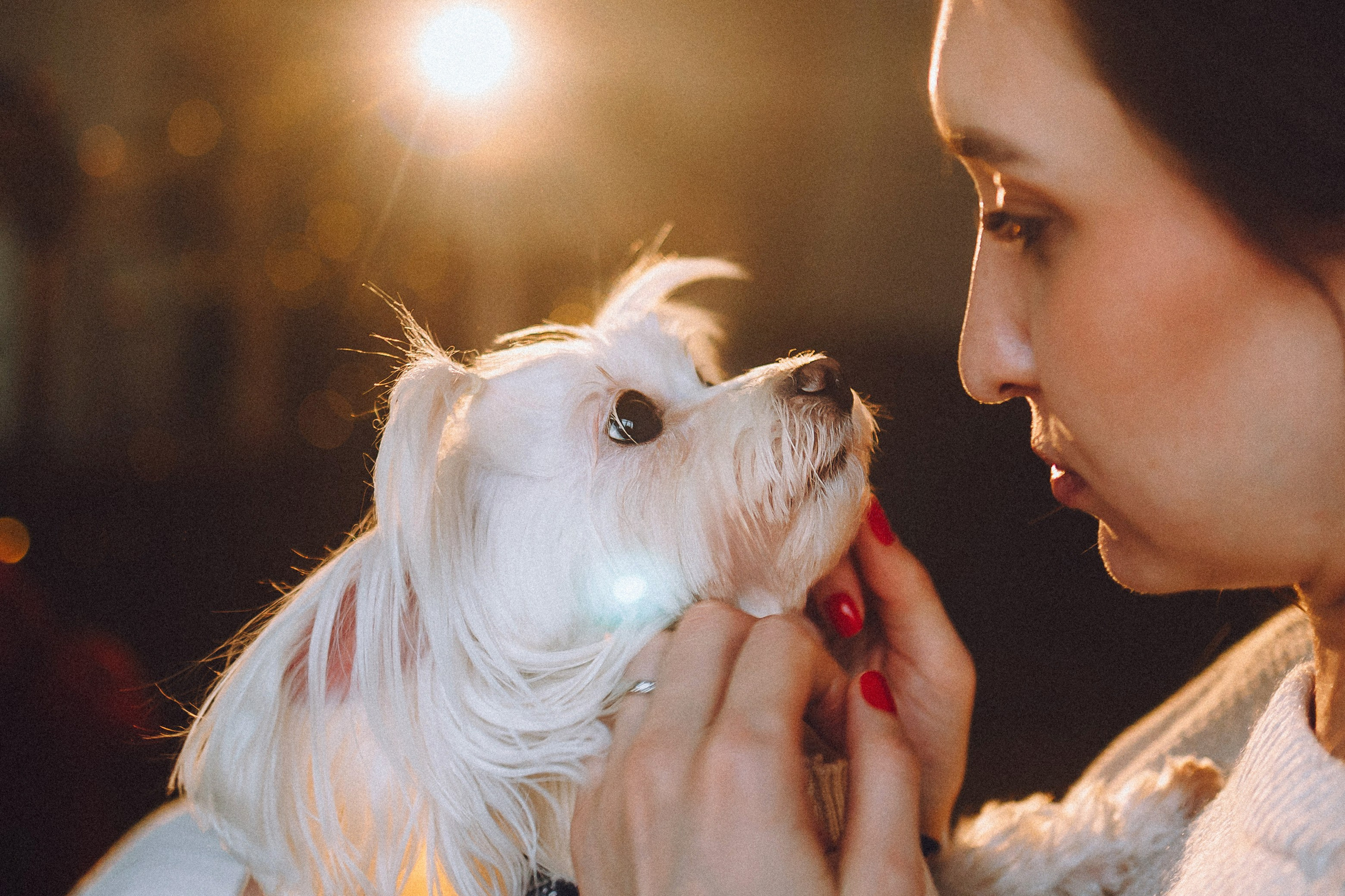 Констанция и Молли