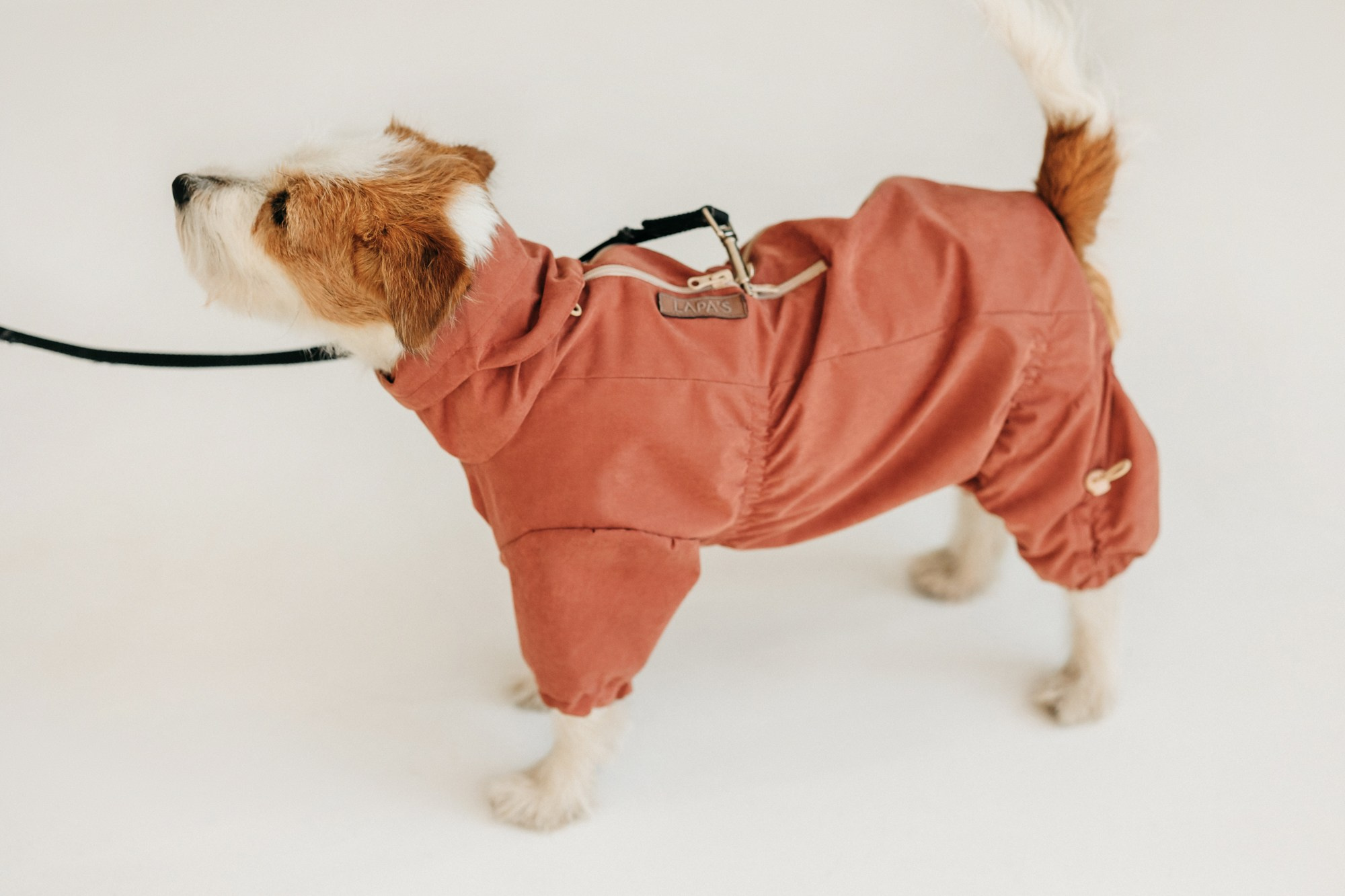 Одежда Lapa`s brand. Фотограф-анималист Елена Радченко, Москва