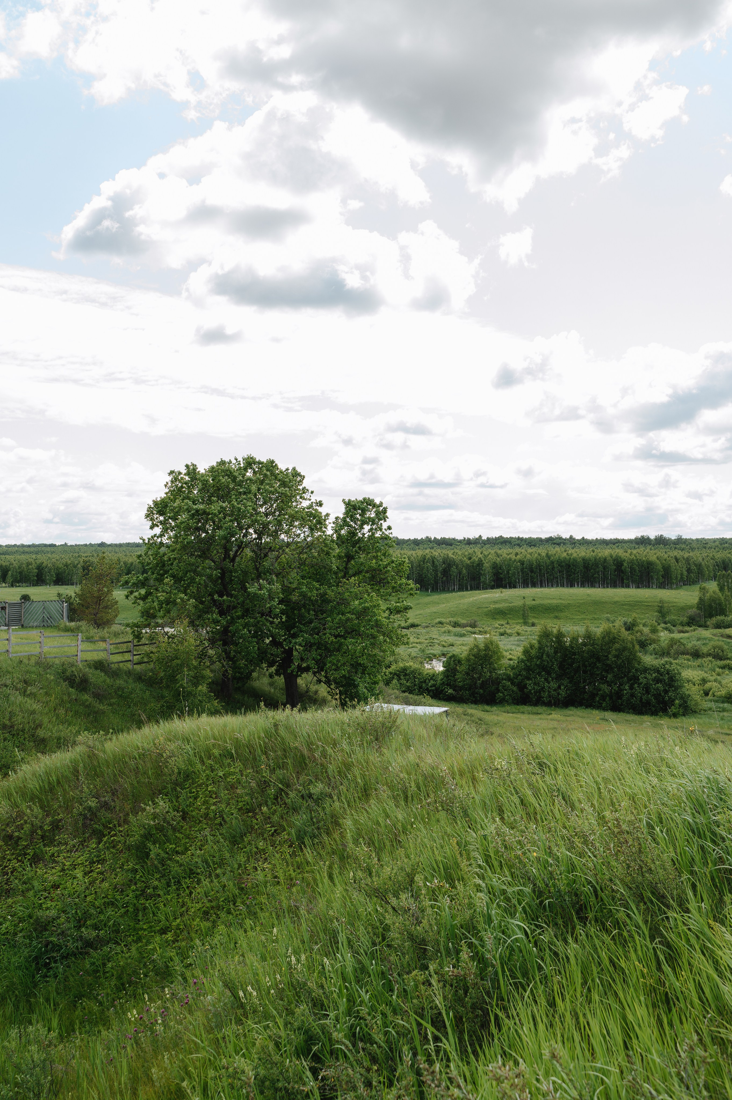 Яркая свадьба самара. Свадебный фотограф Тольятти Самара Холмов Артем