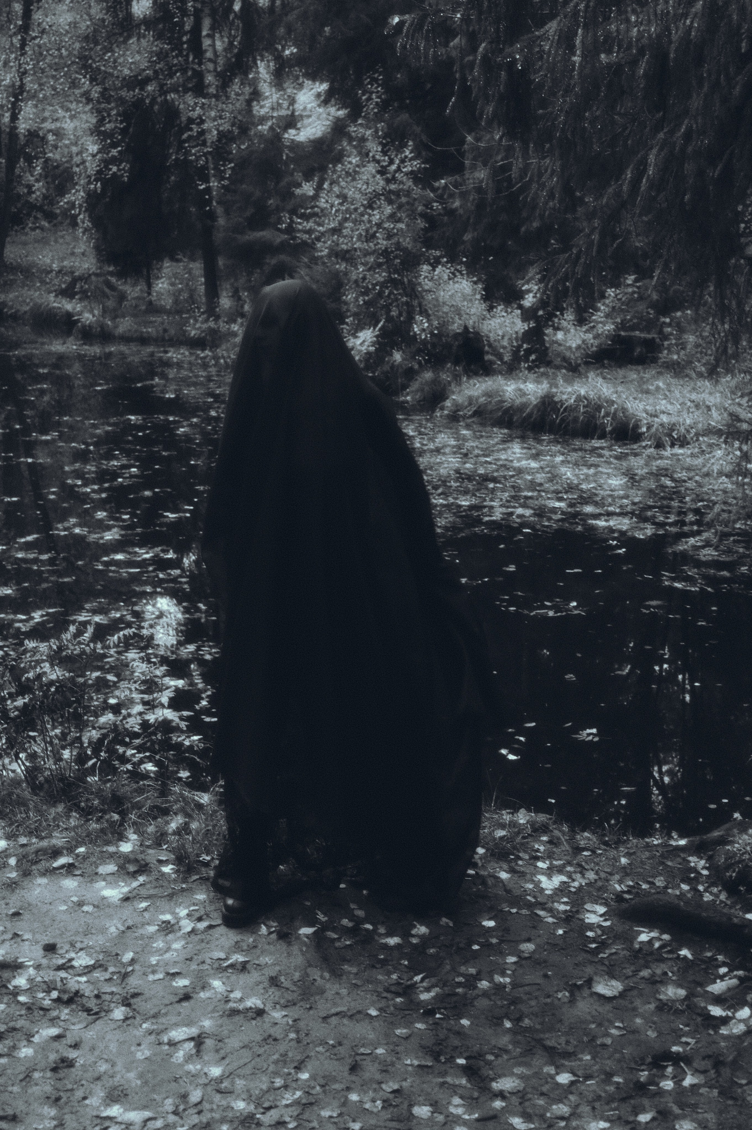 Вдохновление утренним туманом. Ваагн Малхасян | Фотограф | Санкт-Петербург. Создаю атмосферные кадры