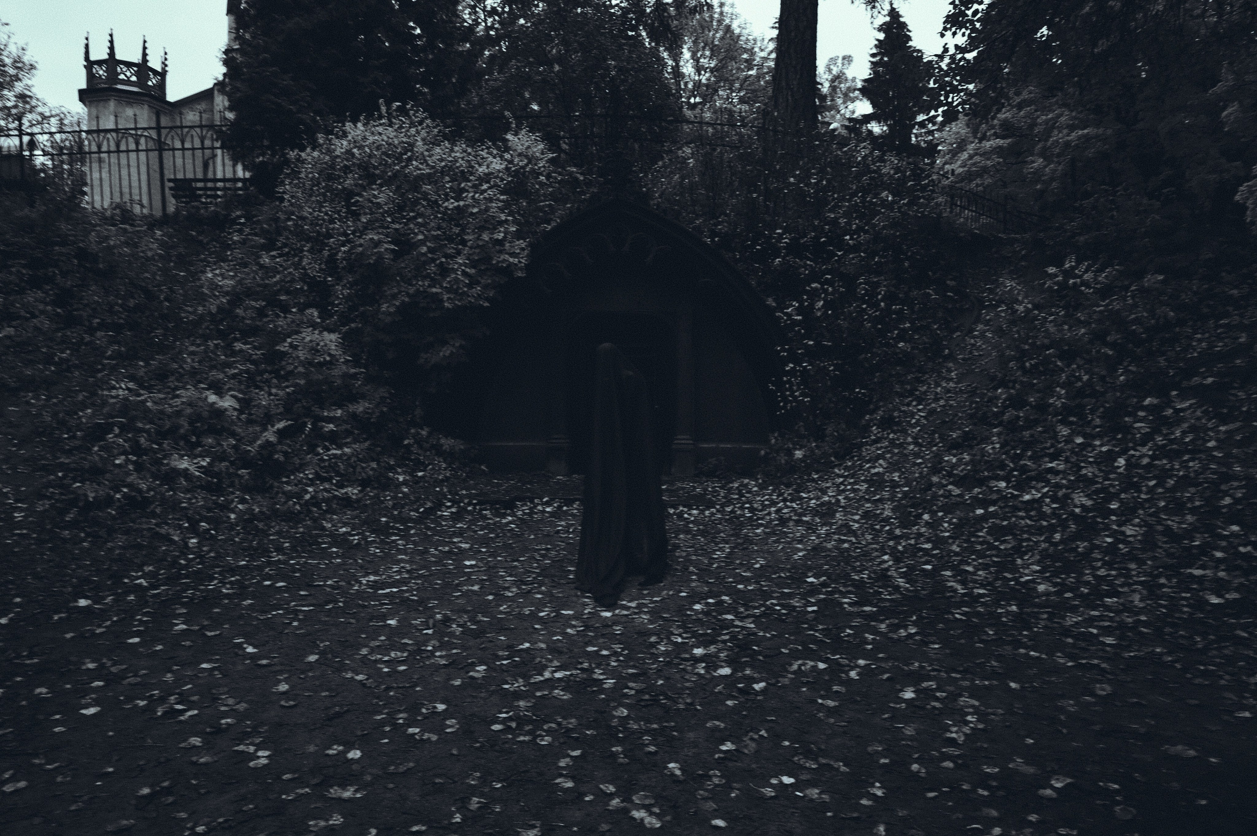 Где спит туман. Ваагн Малхасян | Фотограф | Санкт-Петербург. Создаю атмосферные кадры