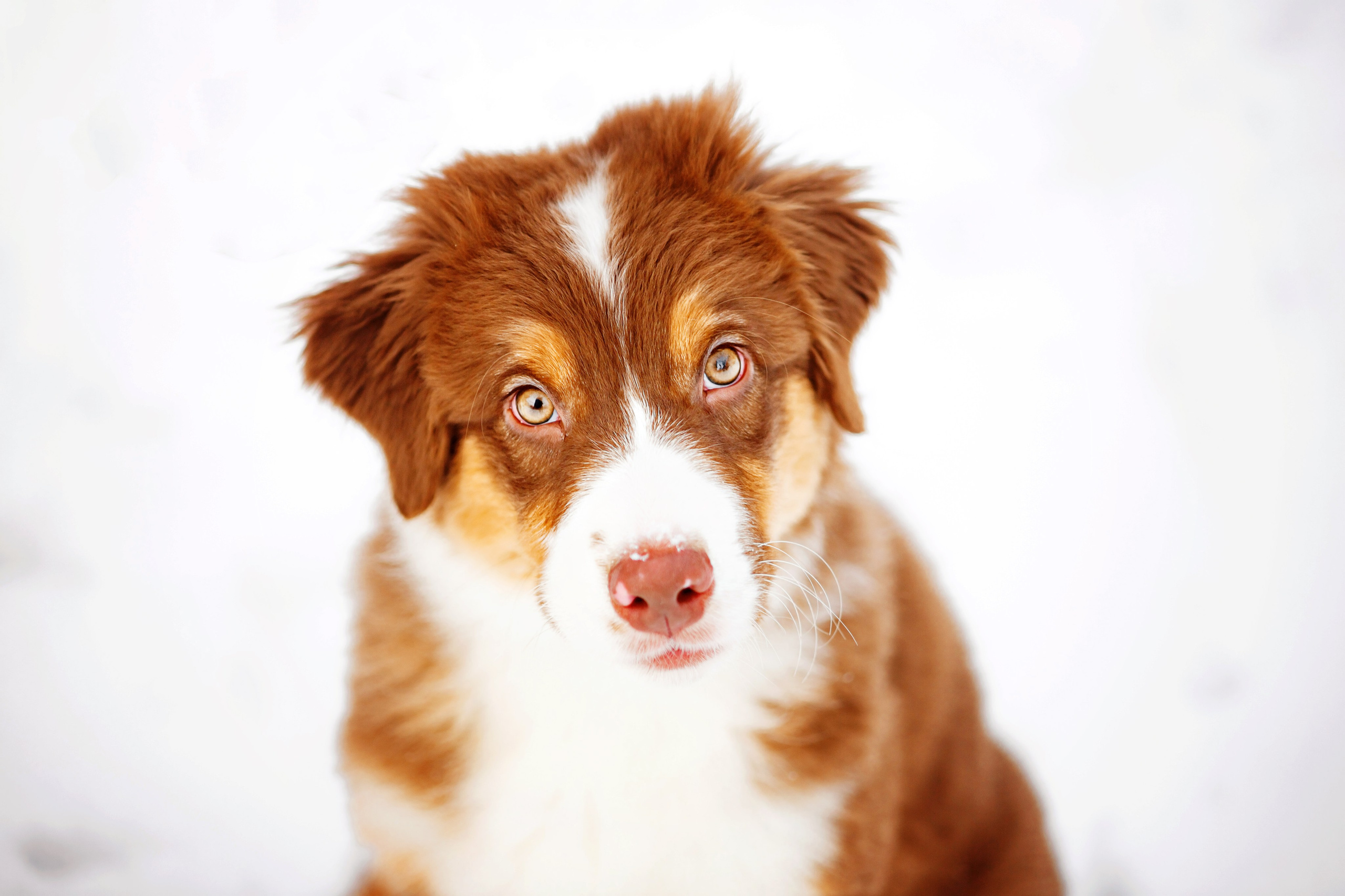 Аксель. Семейный фотограф в Екатеринбурге