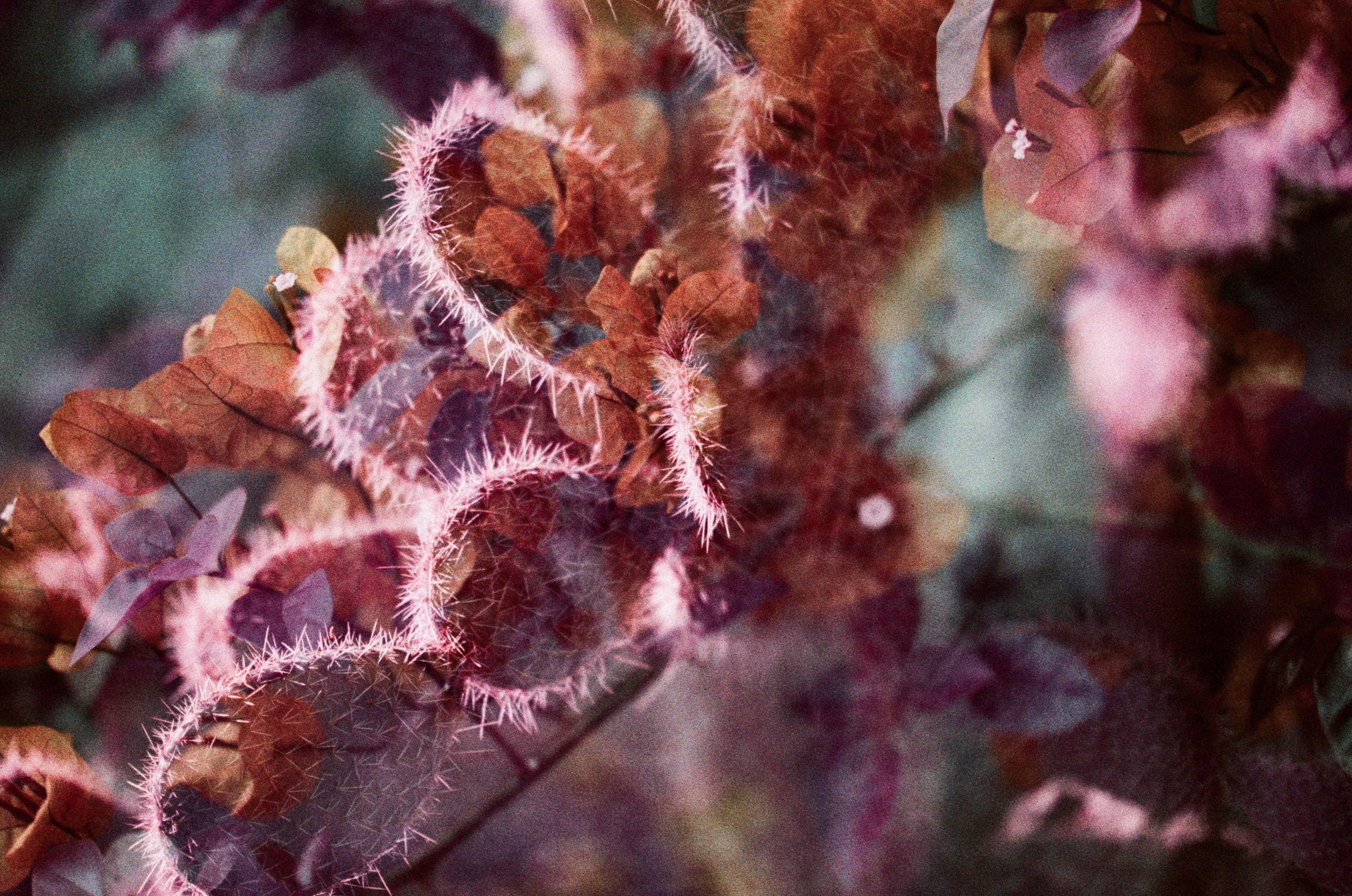 Pain shopping // ukraine, crimea II. EVER EXPOSED