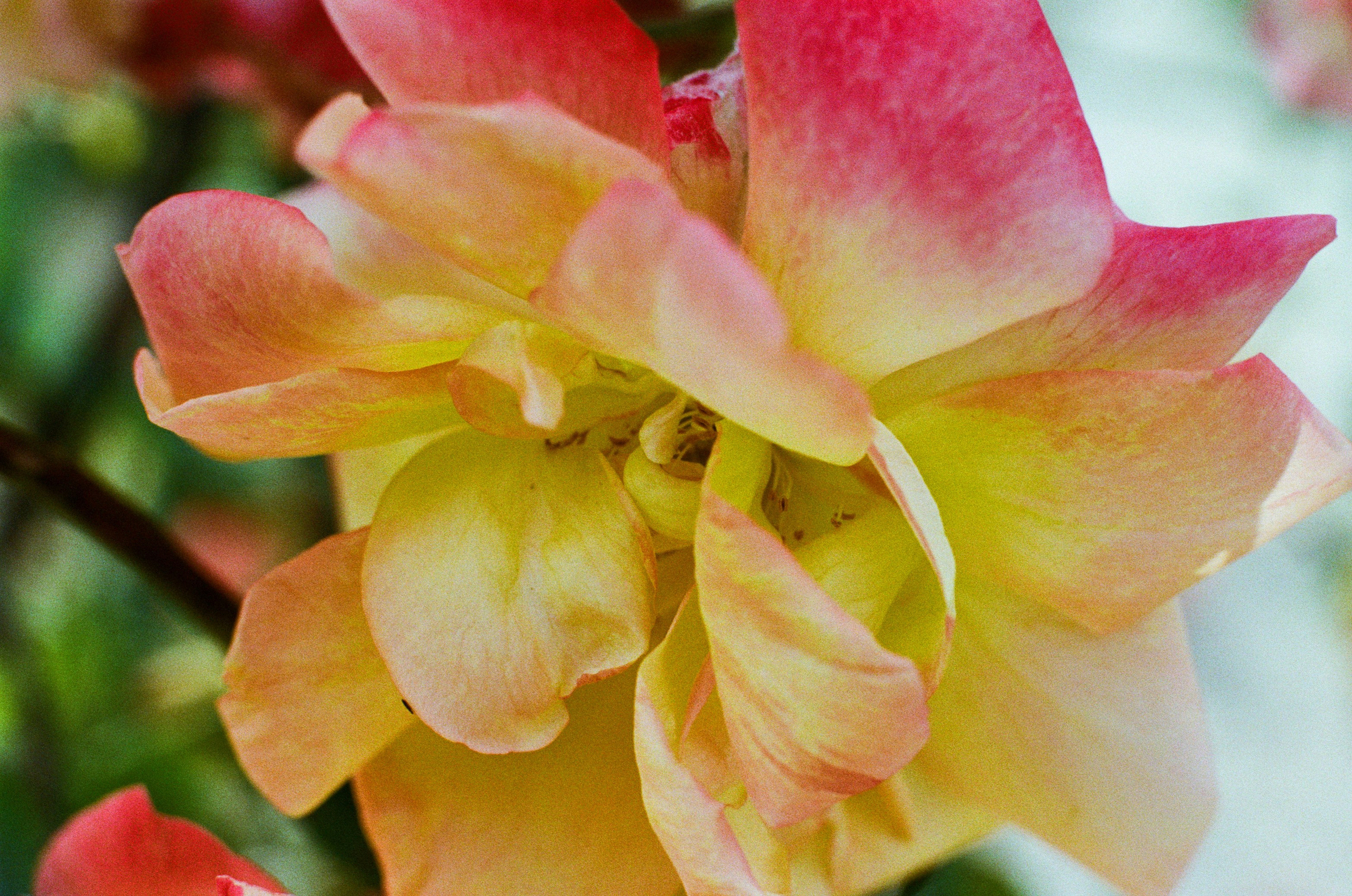 Point of no reply // ukraine, crimea VI. EVER EXPOSED