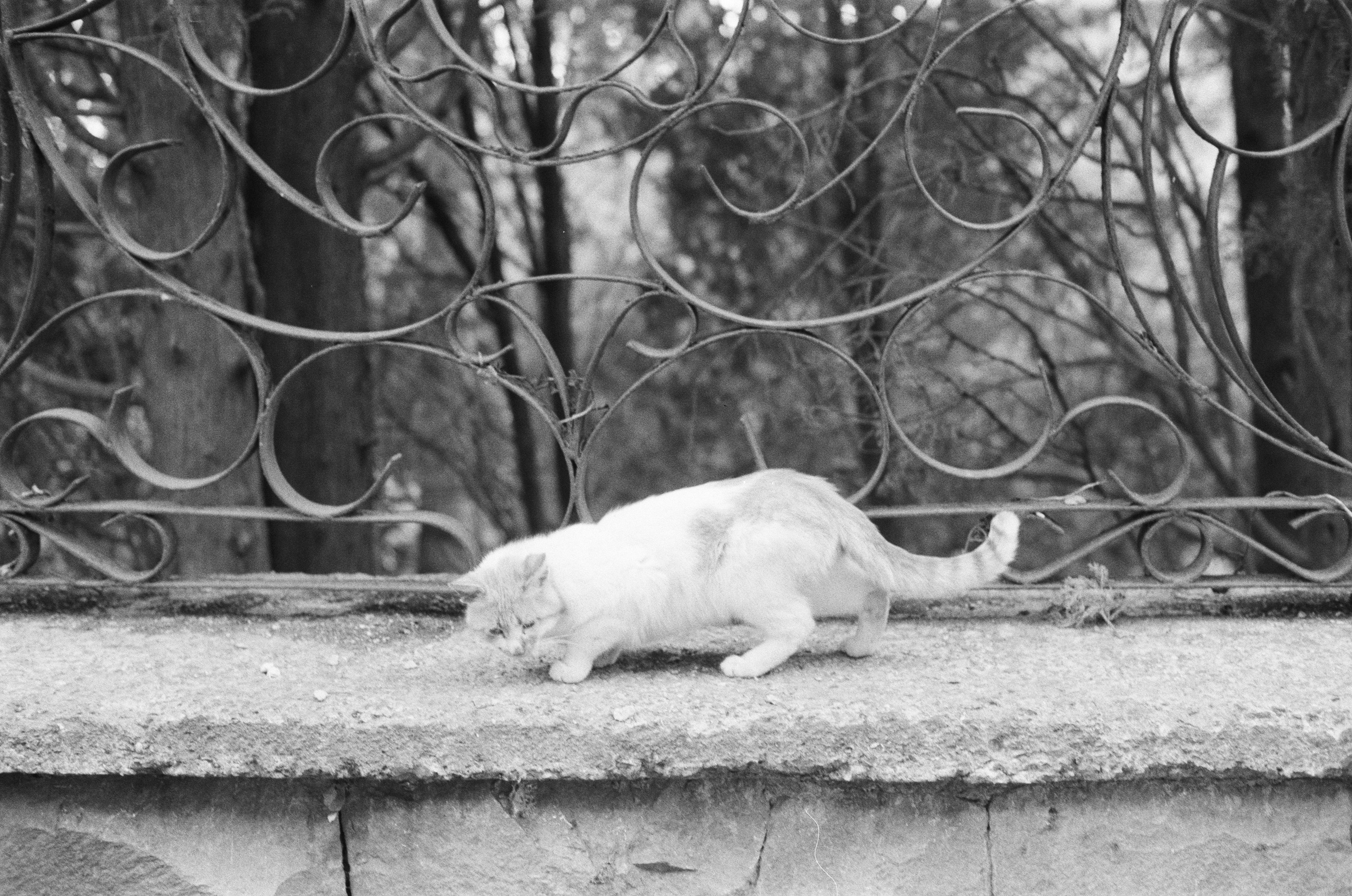Sparks // ukraine, crimea II. EVER EXPOSED