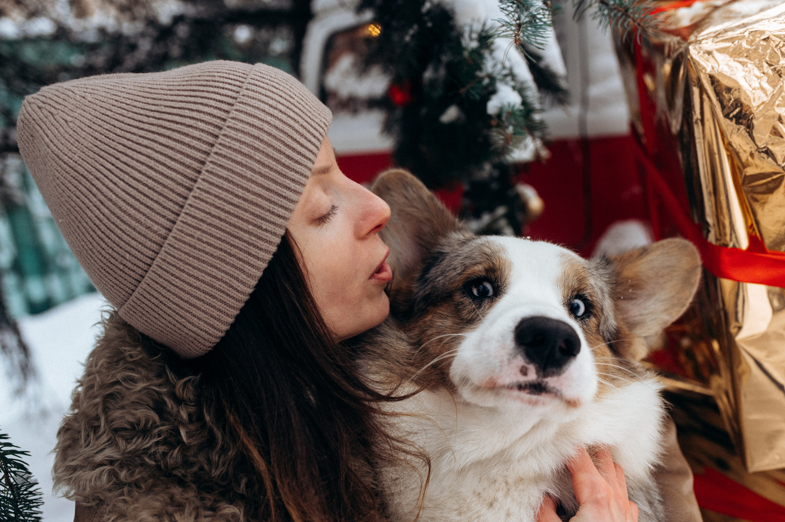 Маша и Дэф. Фотограф анималист в Москве Ольга Агушева