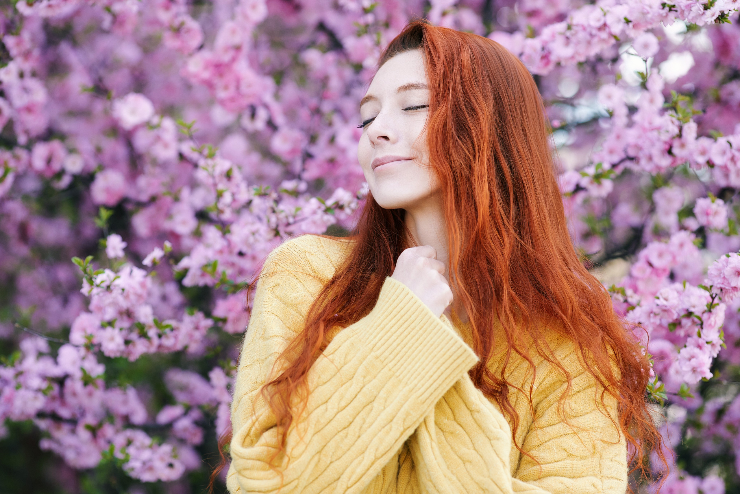 Фотосессия с молодой рыжей девушкой в жёлтом свитере на фоне розовых цветущих деревьев (приморской сакуры)