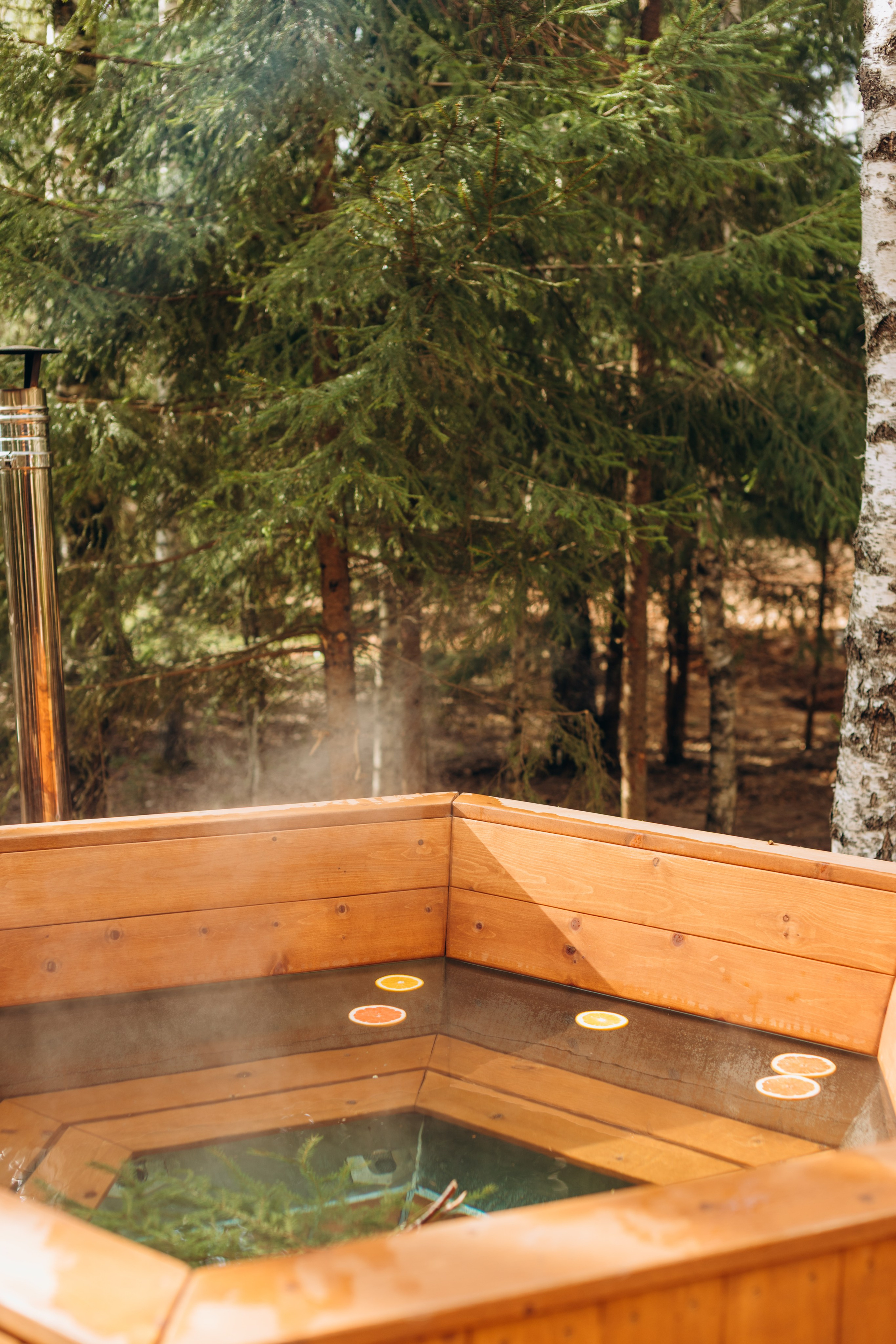 Filin. Главная