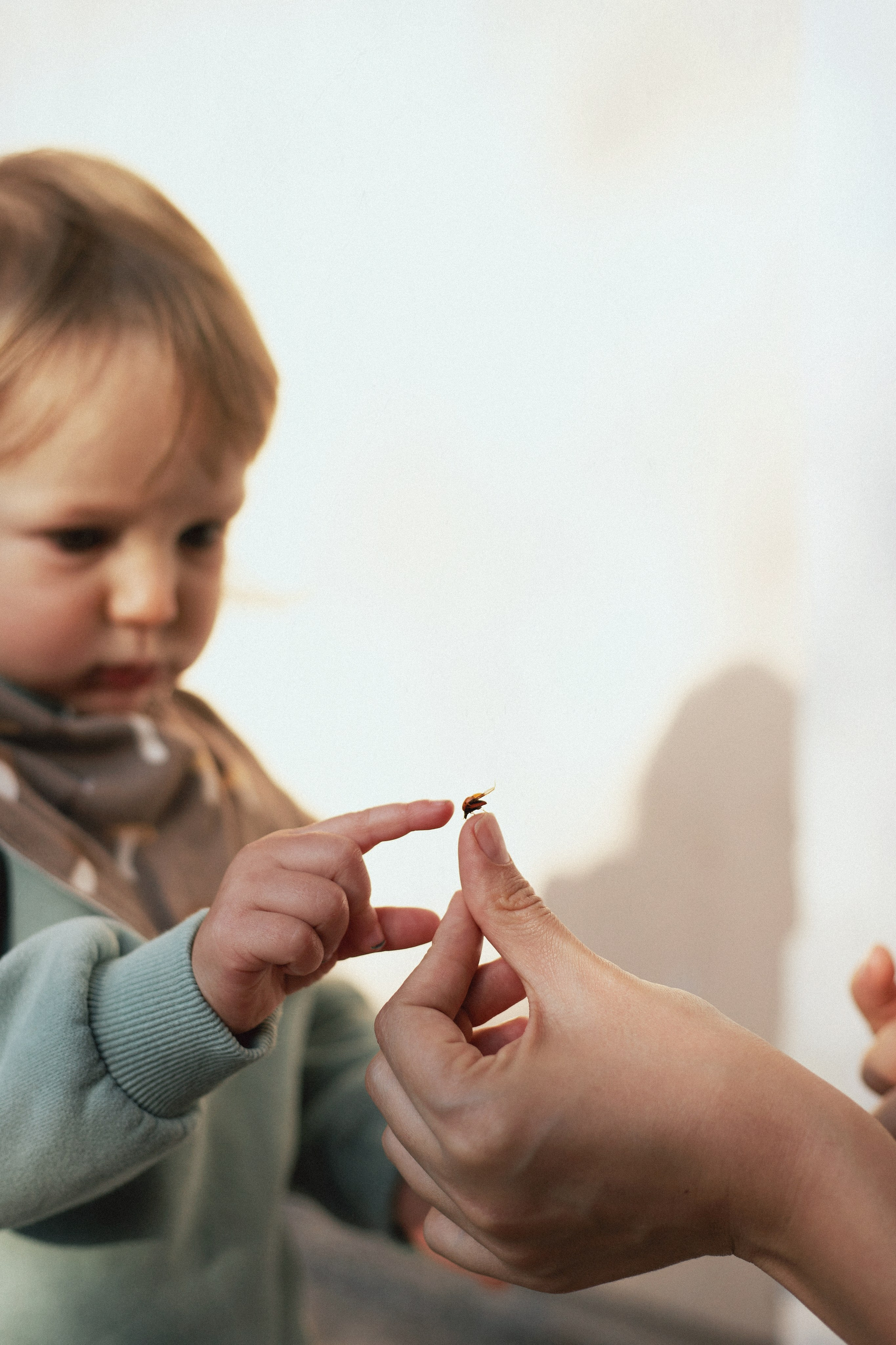 Настя & Агния. Фотограф Ионова Анастасия, г Владивосток