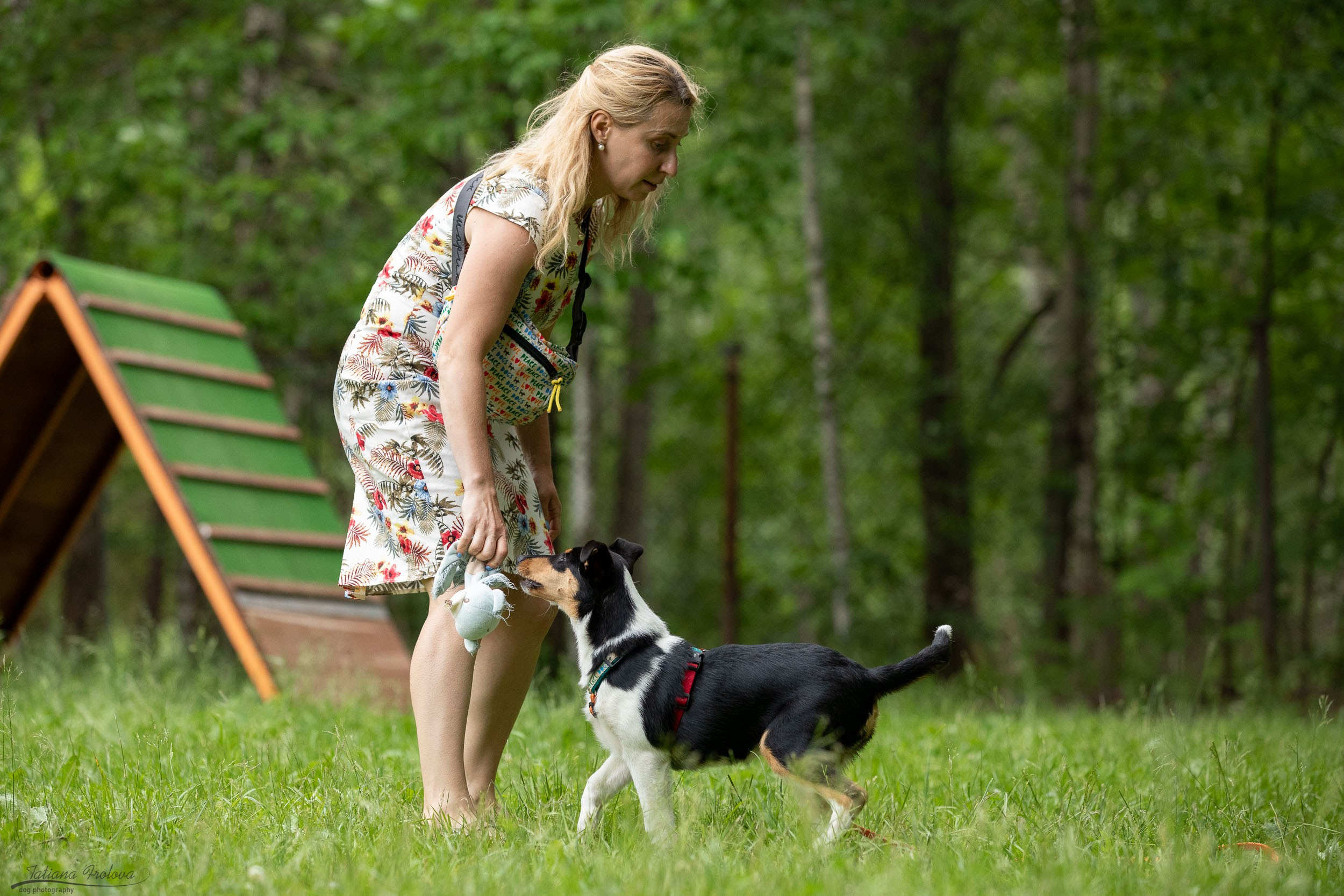Репортаж с выводки молодняка колли/шелти в Ясенево. Фотограф-анималист в Москве и Московской области Татьяна Фролова