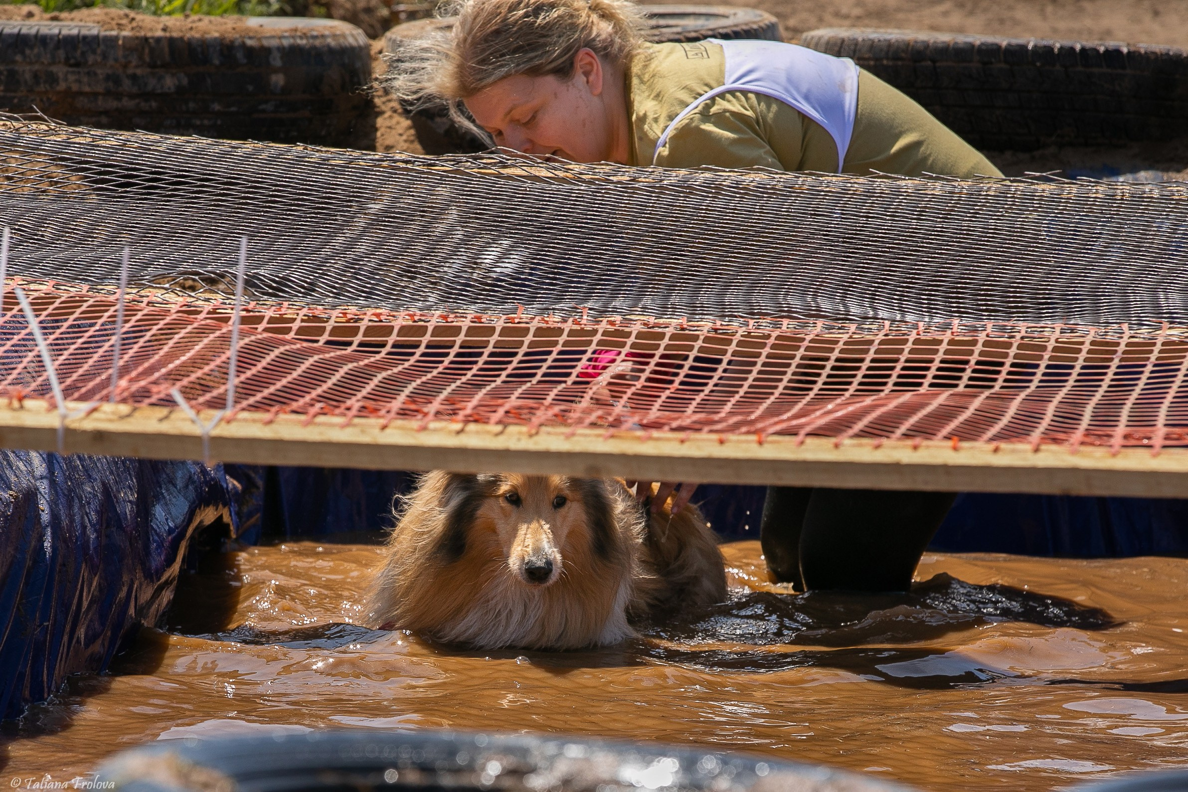 Фоторепортаж с забега с собаками. Фотограф-анималист в Москве и Московской области Татьяна Фролова