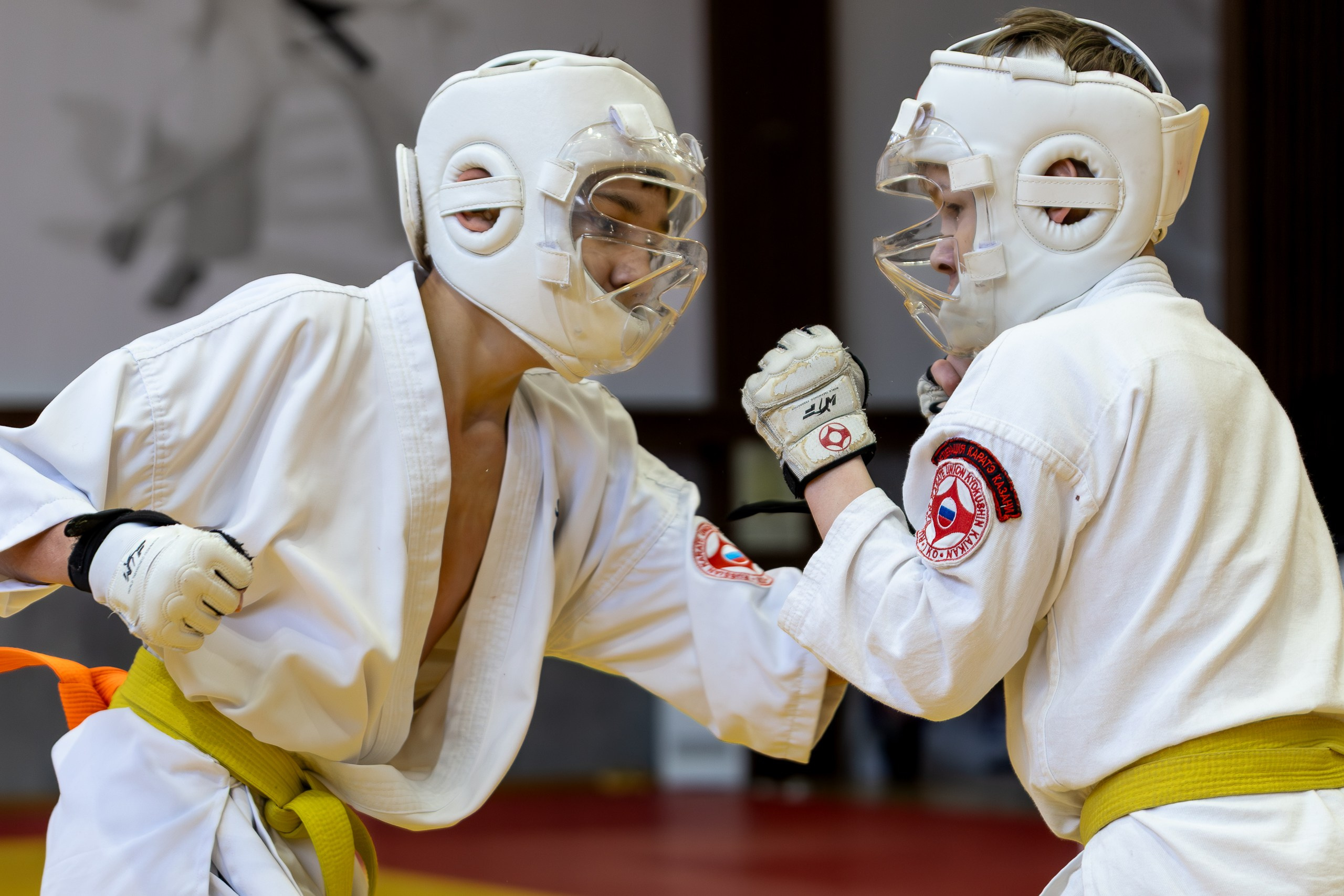 Карате кумите. Главная