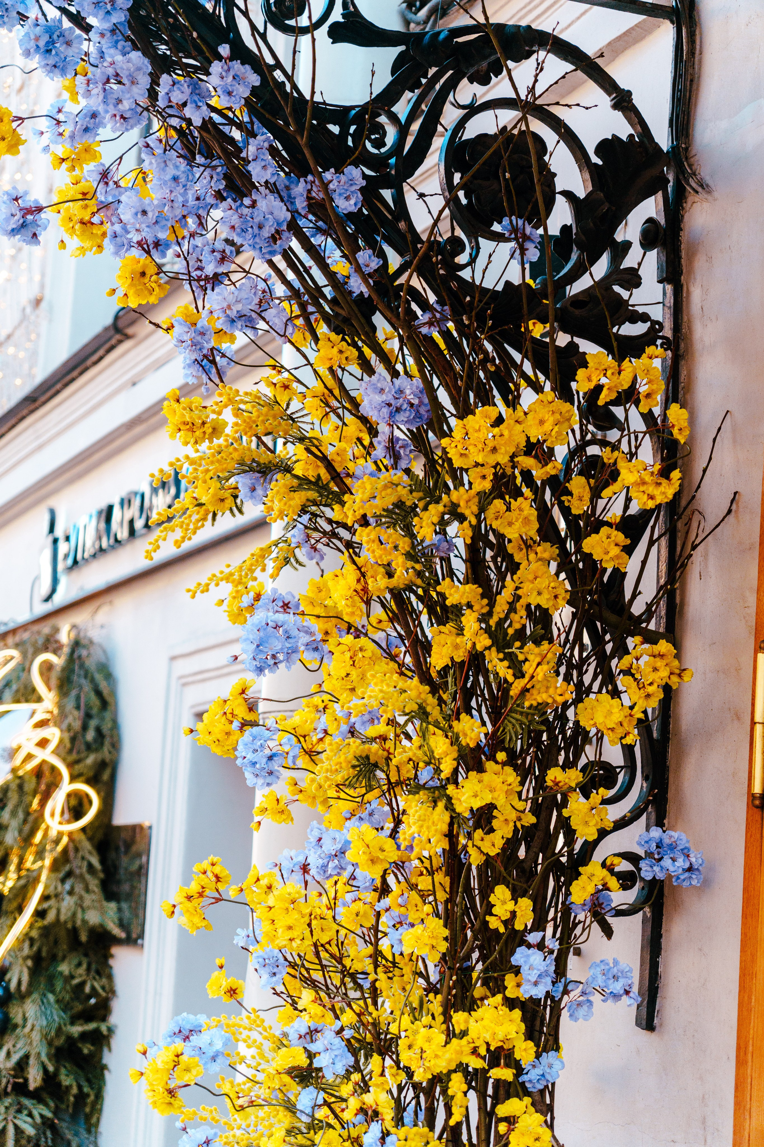 Санкт-Петербург. Фотограф в Санкт-Петербурге Ибрагимова Алина