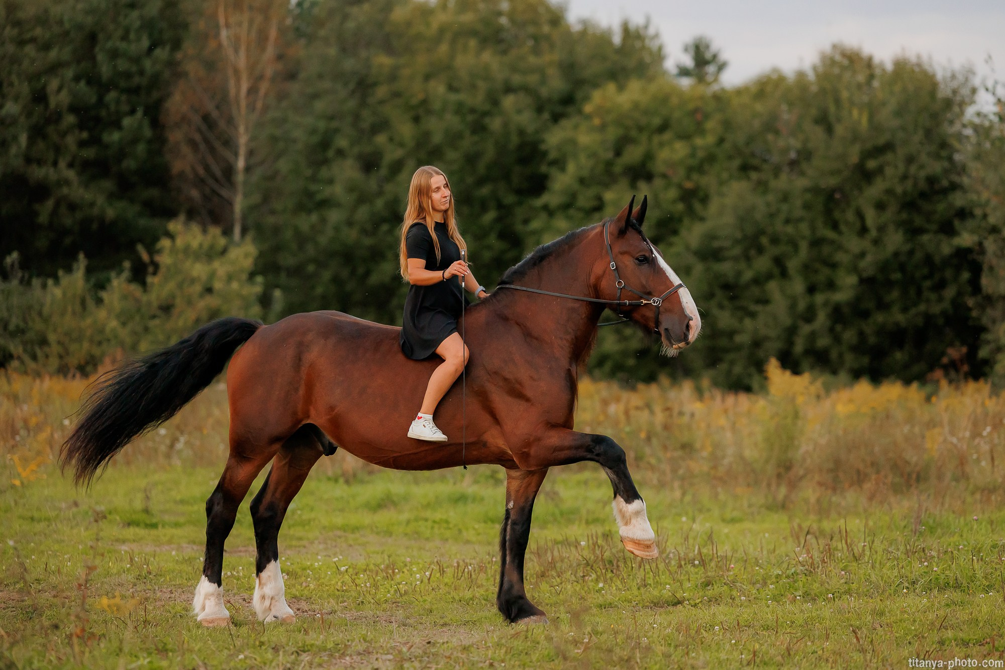 Закатная семейная фотосессия: про Настю и её дружную семью. Фотограф собак, фотограф-анималист Аня Титова (Titanya). Москва
