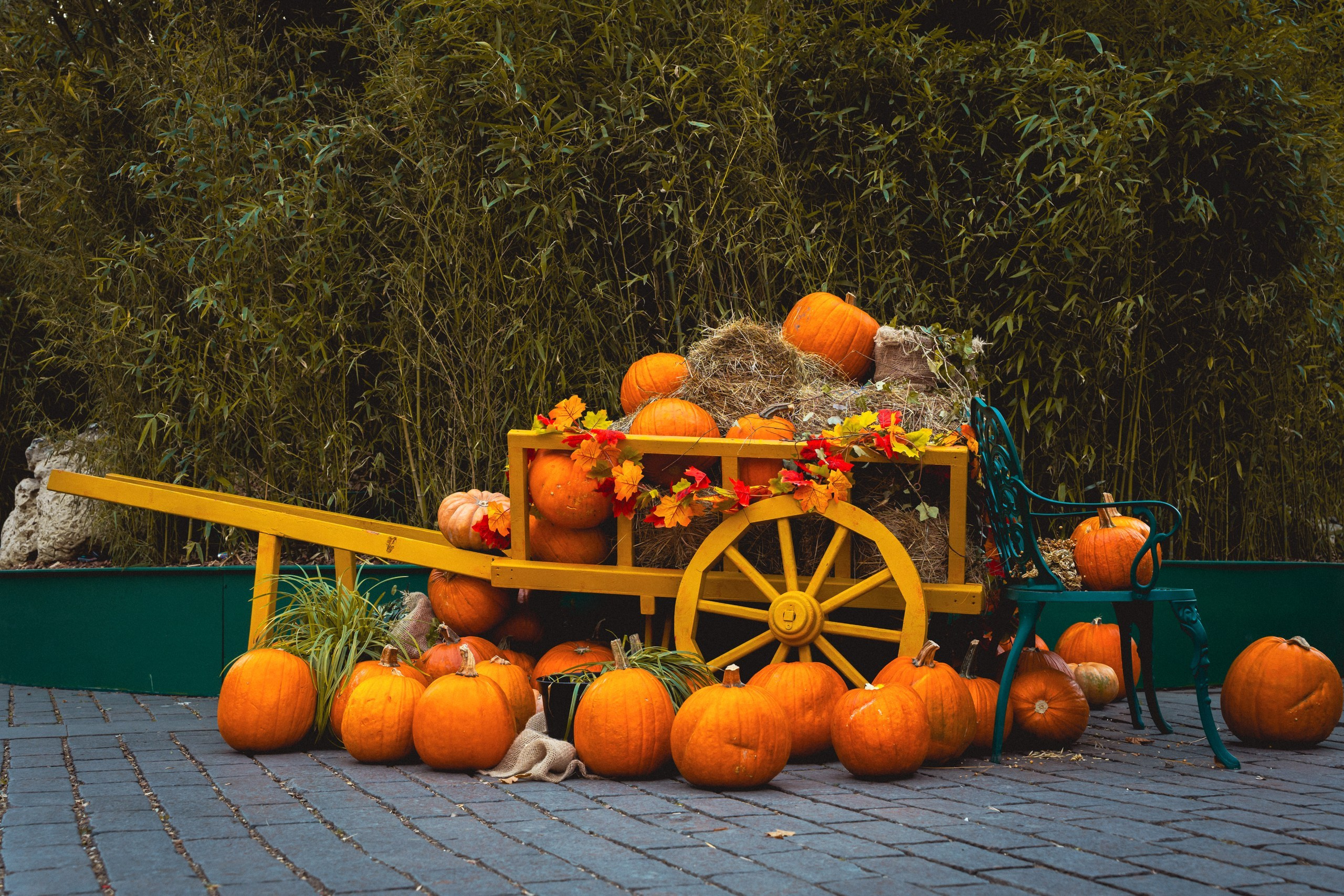 Фото-прогулка. Пенкин Александр