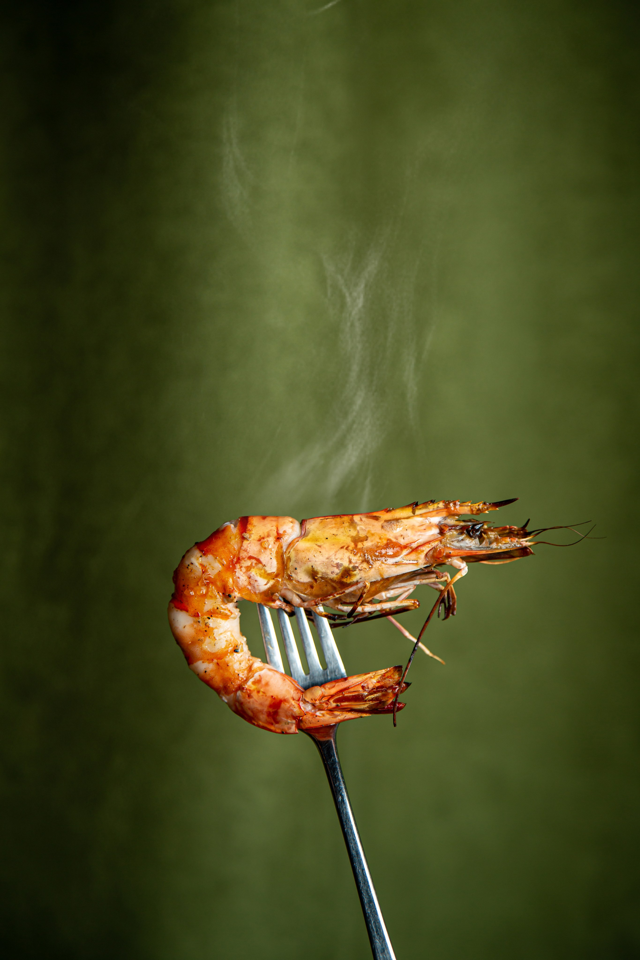 Фуд фотограф Москва — найти фуд фотографа в Москве для съемки в ресторан