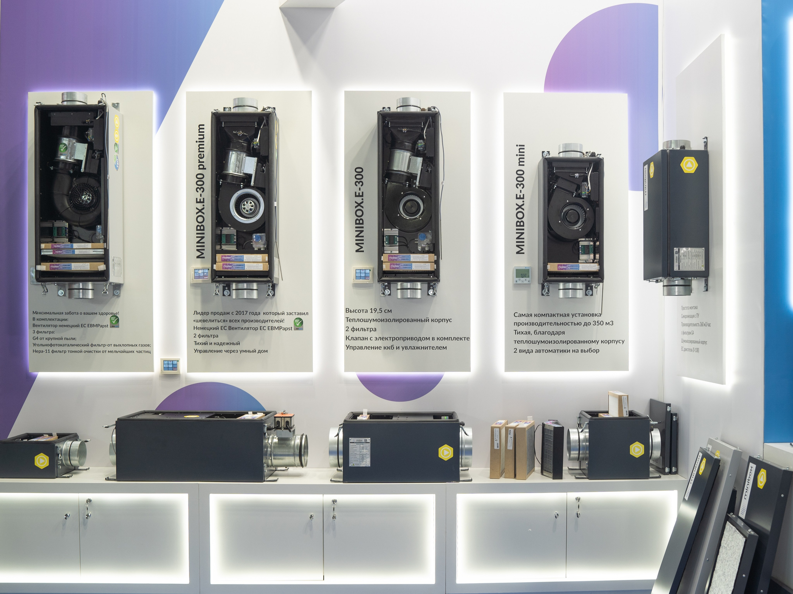 Крокус Вентиляция. Фотограф Зинаида Евдокимова