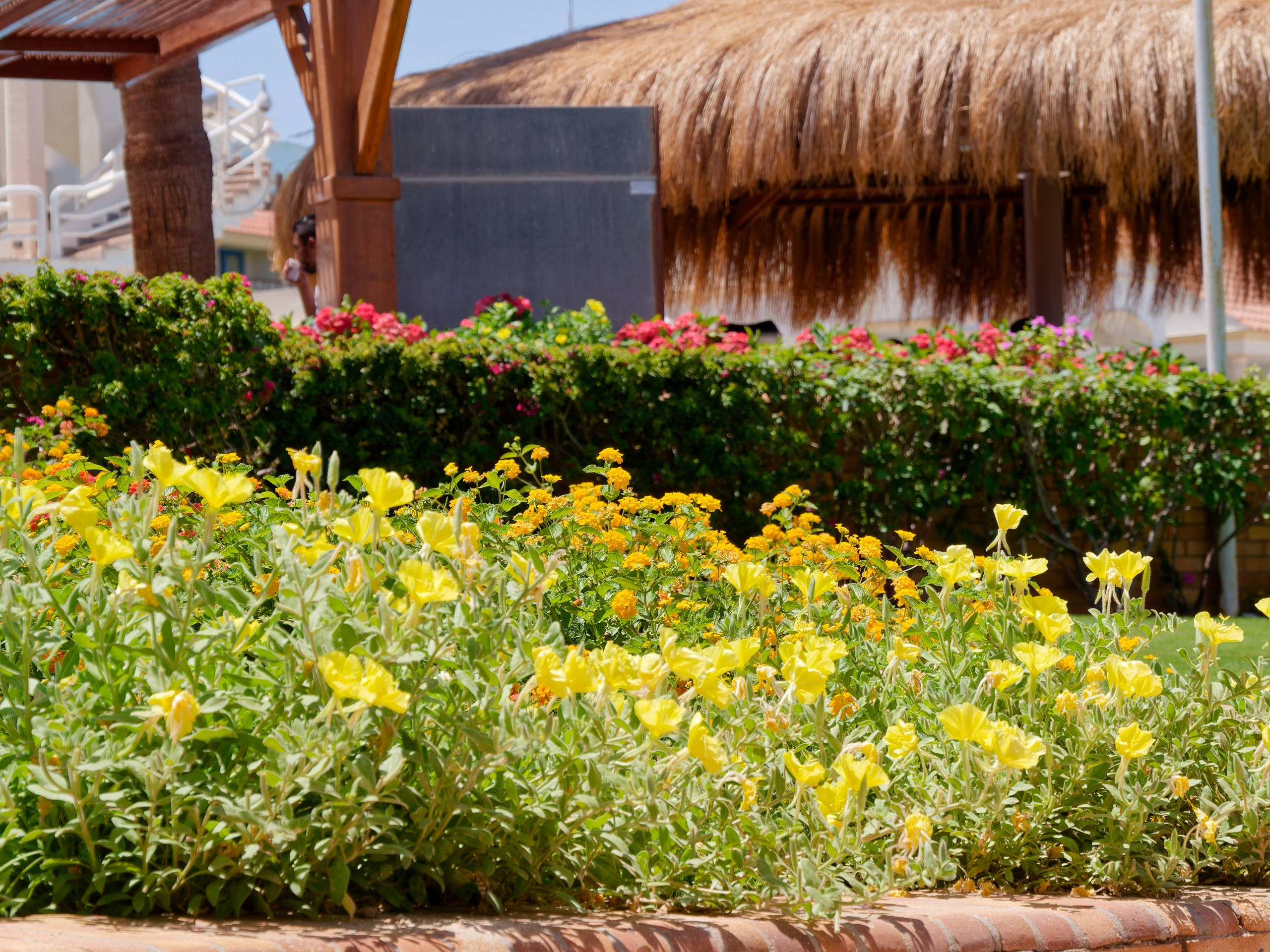 Шарм-эль-Шейх 2022 (1). Избранные фотографии