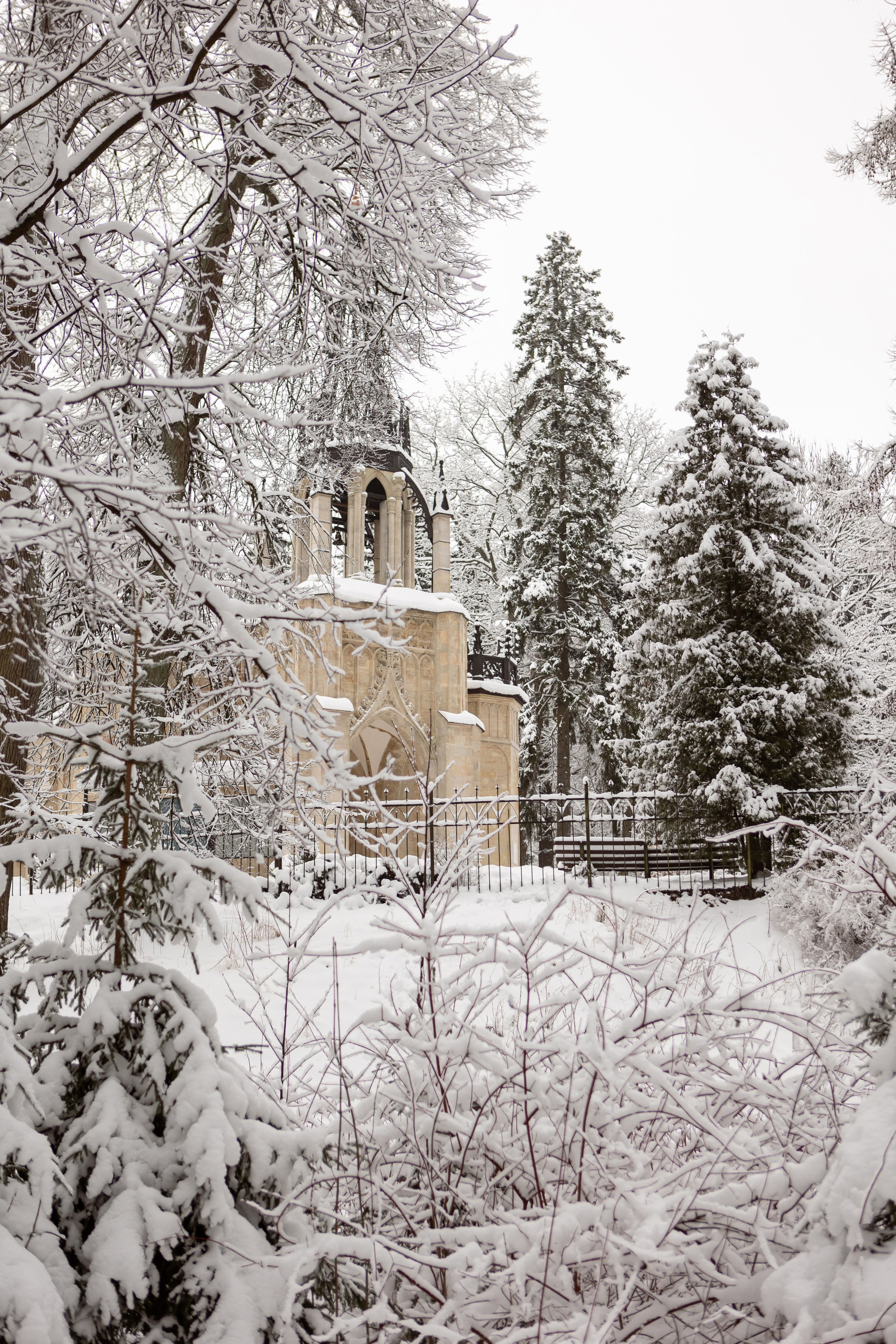 Новогодняя фотосессия с собачками в шуваловском парке. Свадебный фотограф в СПБ | Санкт-Петербурге Анастасия Рахимгулова