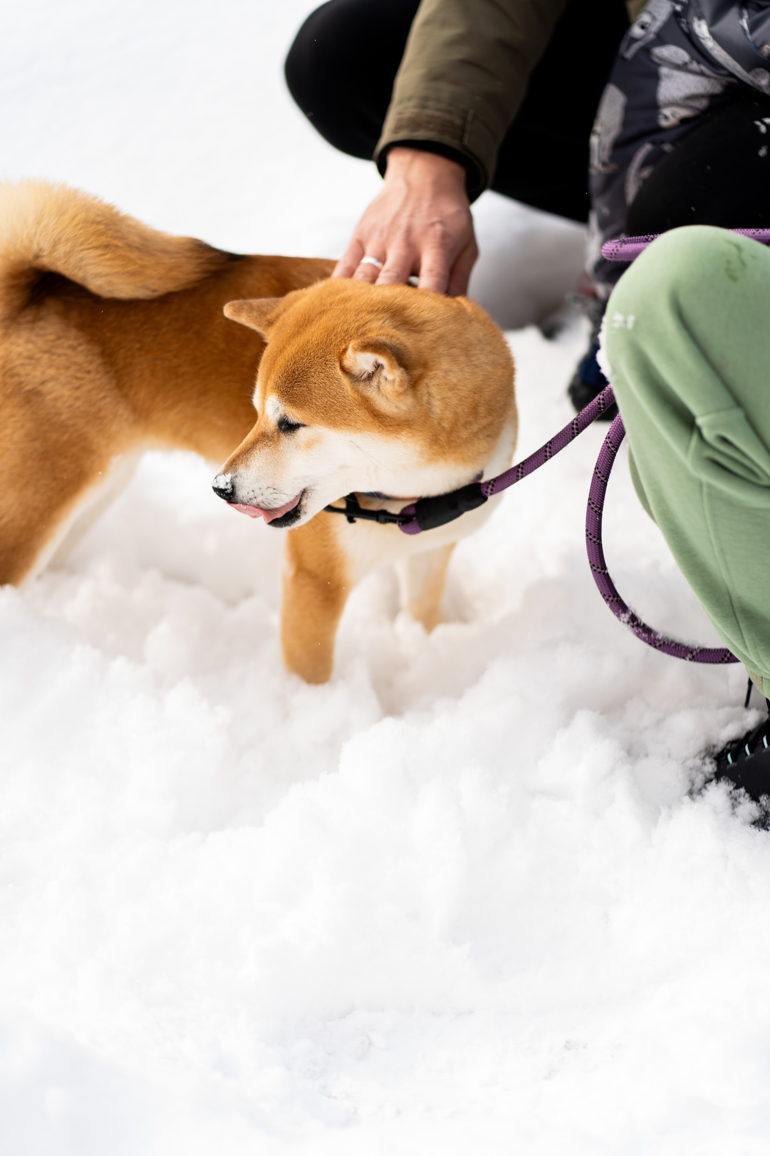 Соня&Лёня. Анастасия Паршукова — фотограф Шерегеш Новосибирск