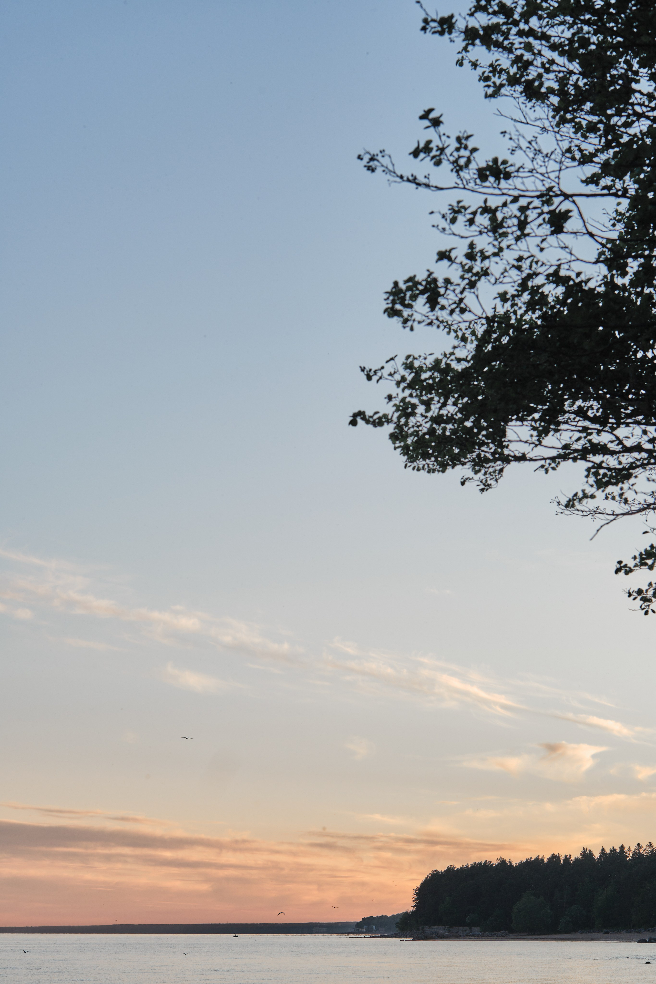 Анна и Дмитрий. Фотограф в Москве и Санкт-Петербурге
