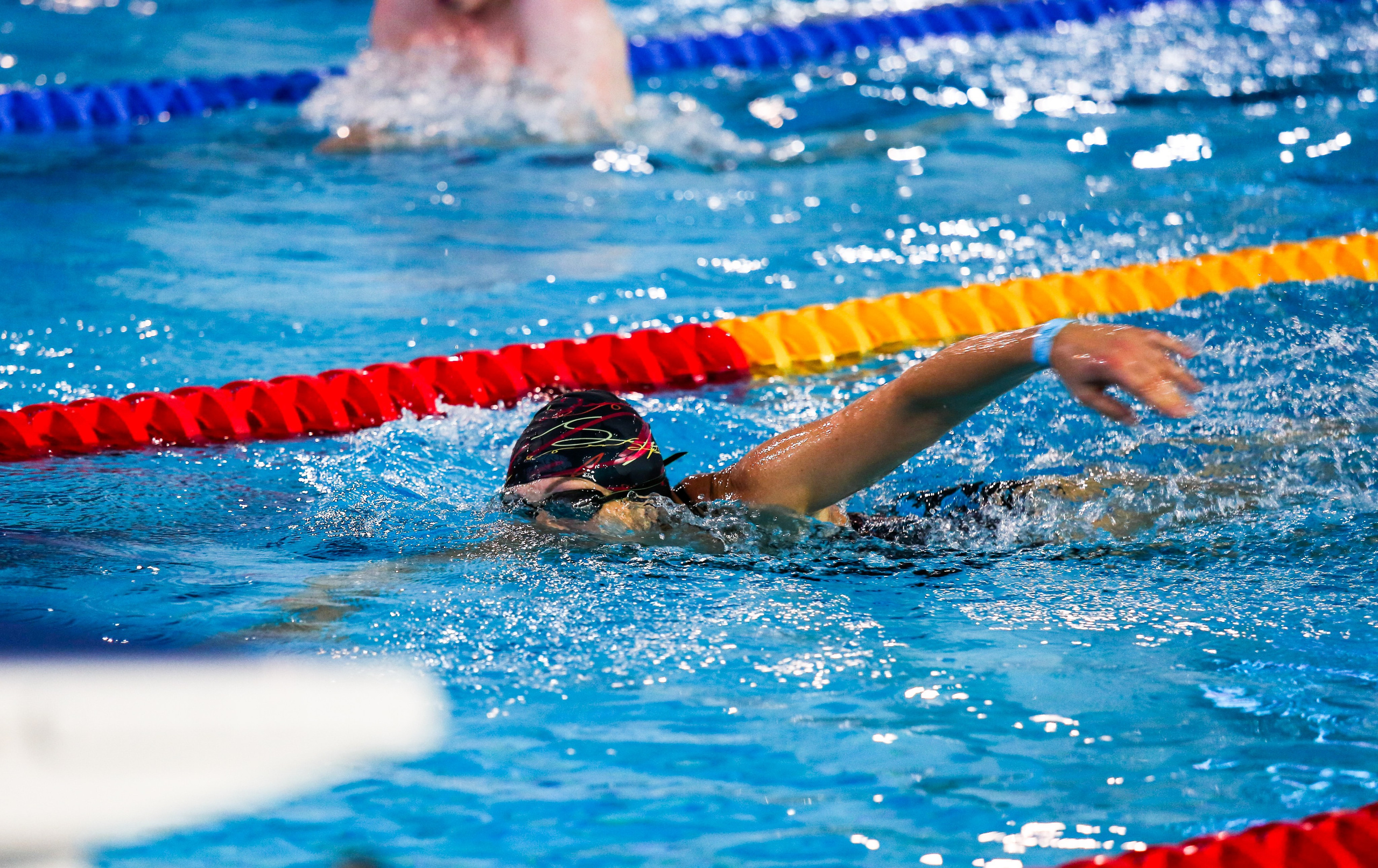 Соревнования по плаванию. Репортажный, семейный, свадебный, портретный фотограф