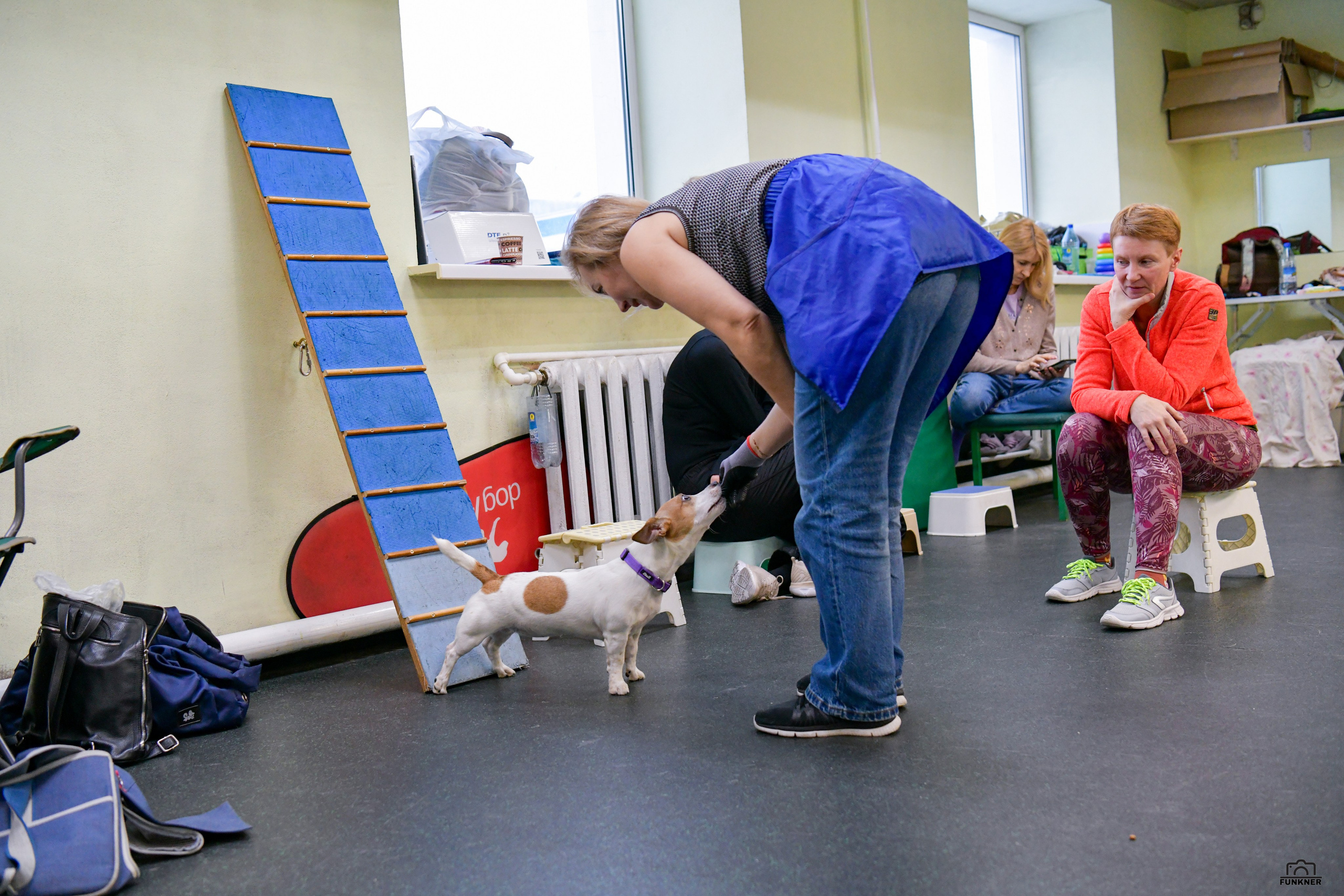 Кинологический клуб «Бодрый хвост». Свой взгляд через объектив