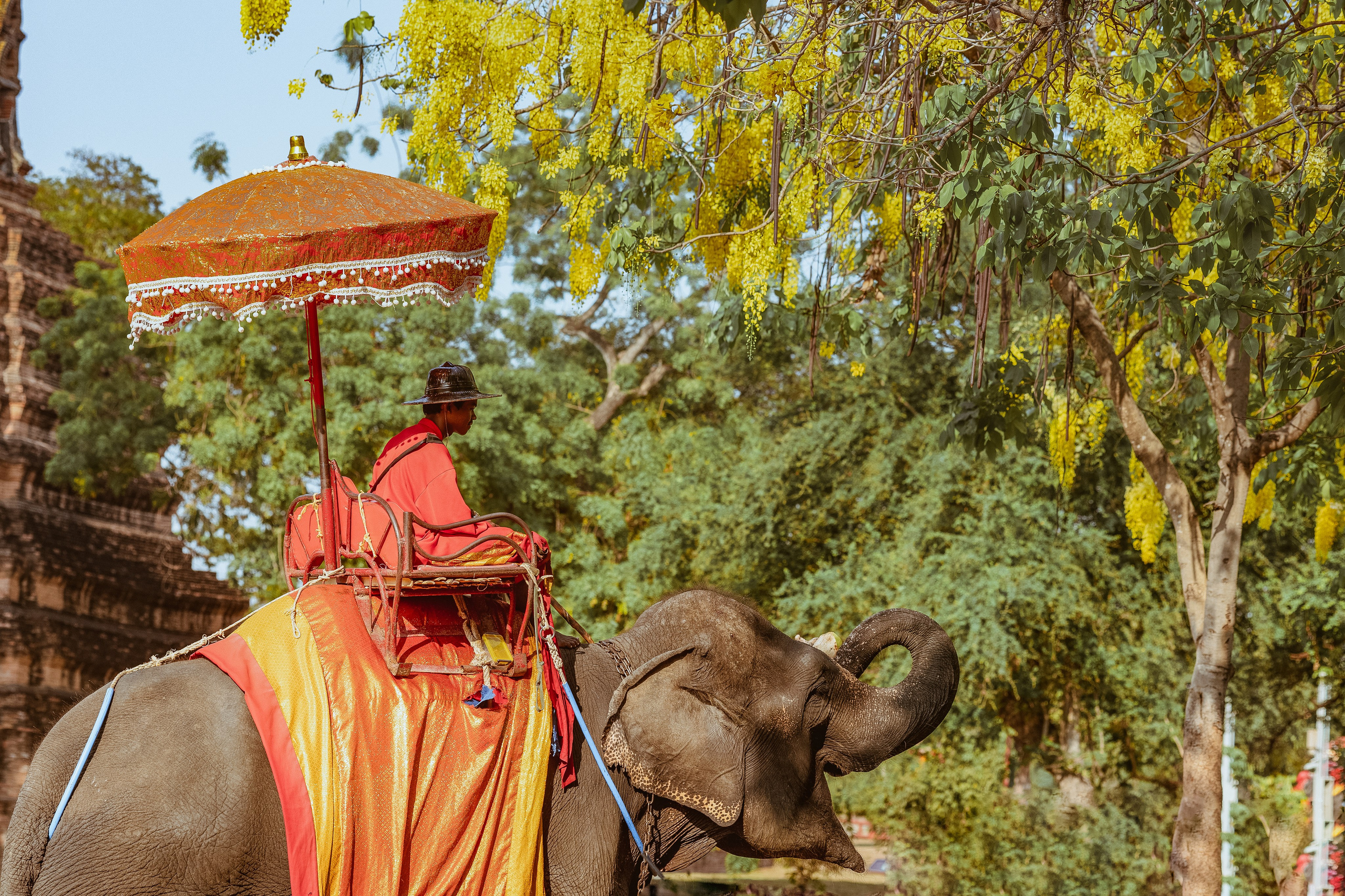 Ayutthaya. Photographer Sonkina Tatiana (Tanya Ash)