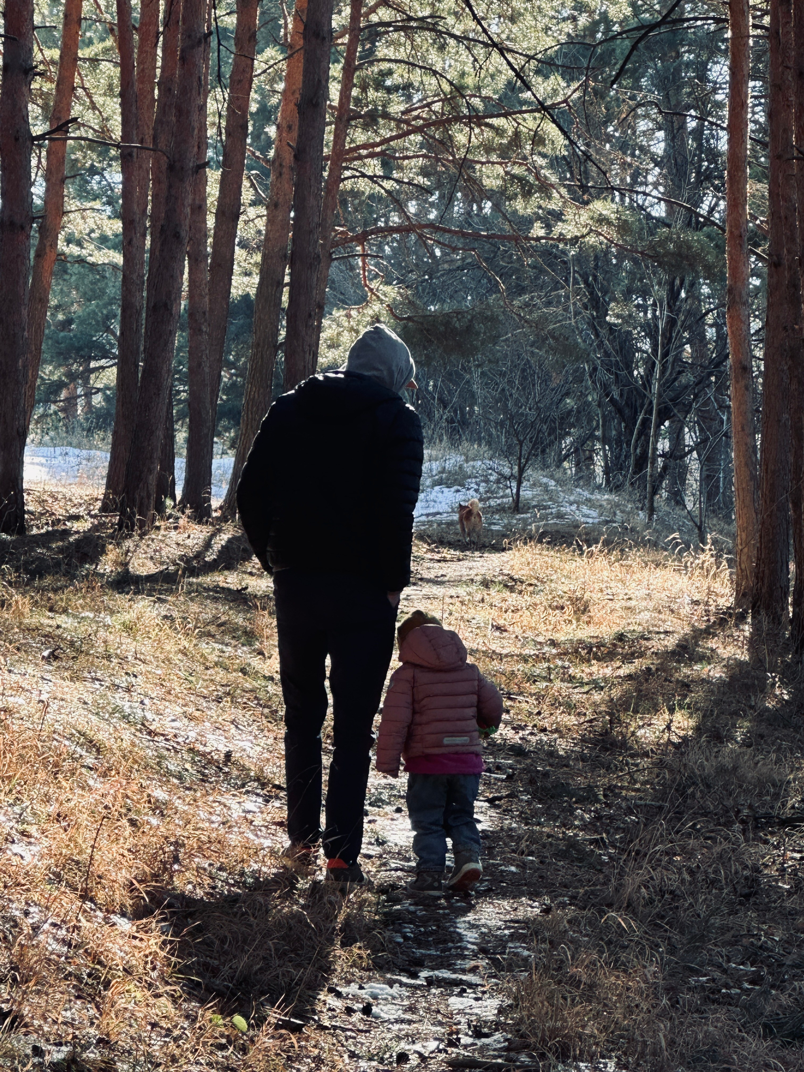 Дети. Смотри, красота!