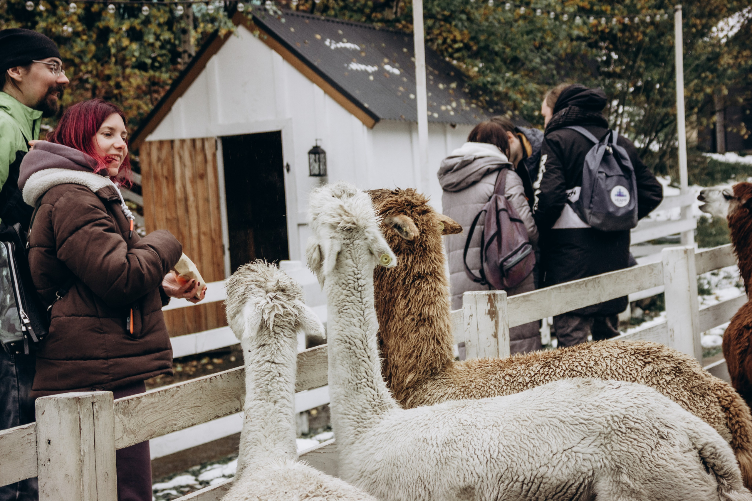 Домбай. Мария Трут. Фотограф