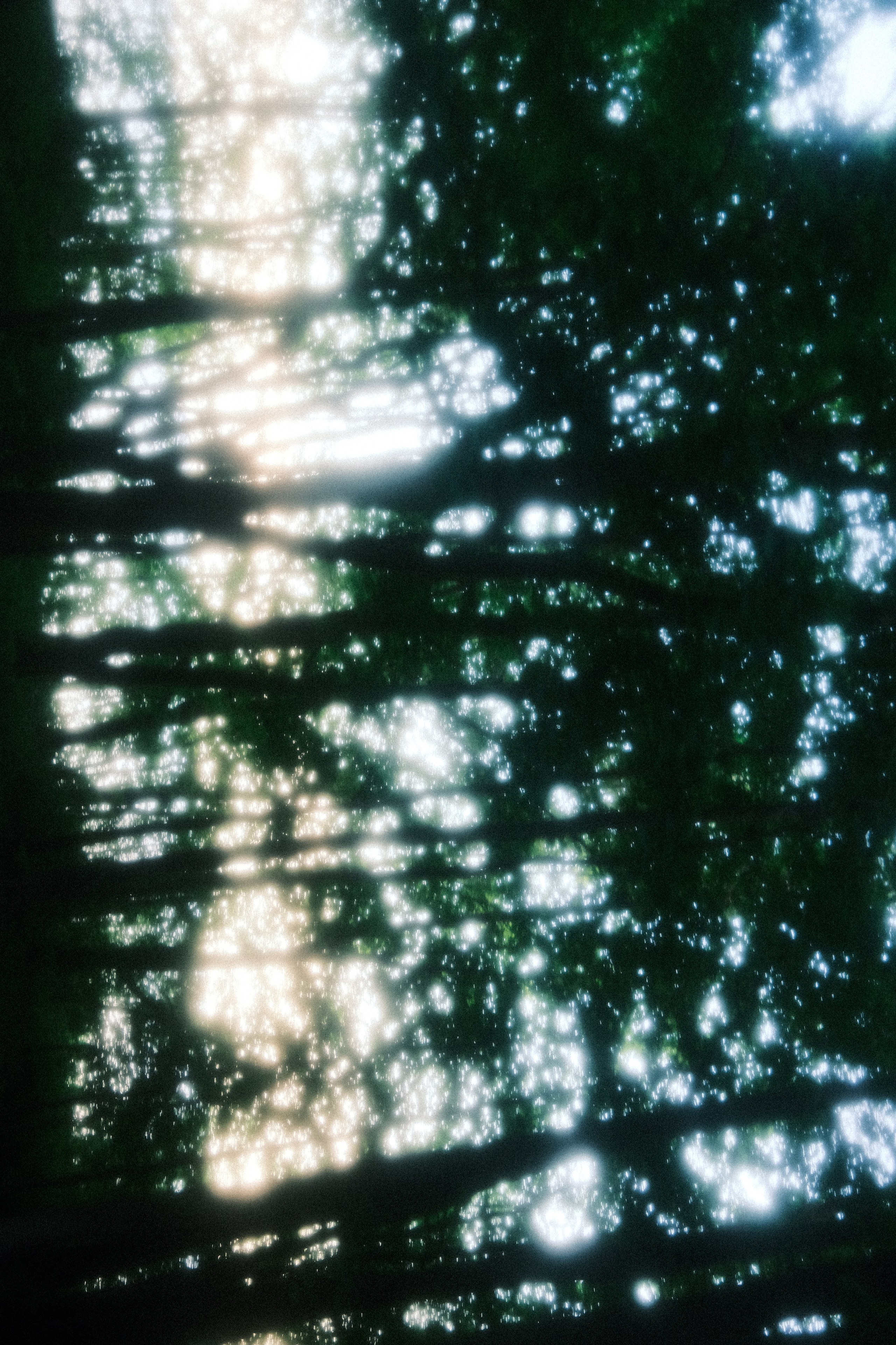 Невесомость. Портретный фотограф