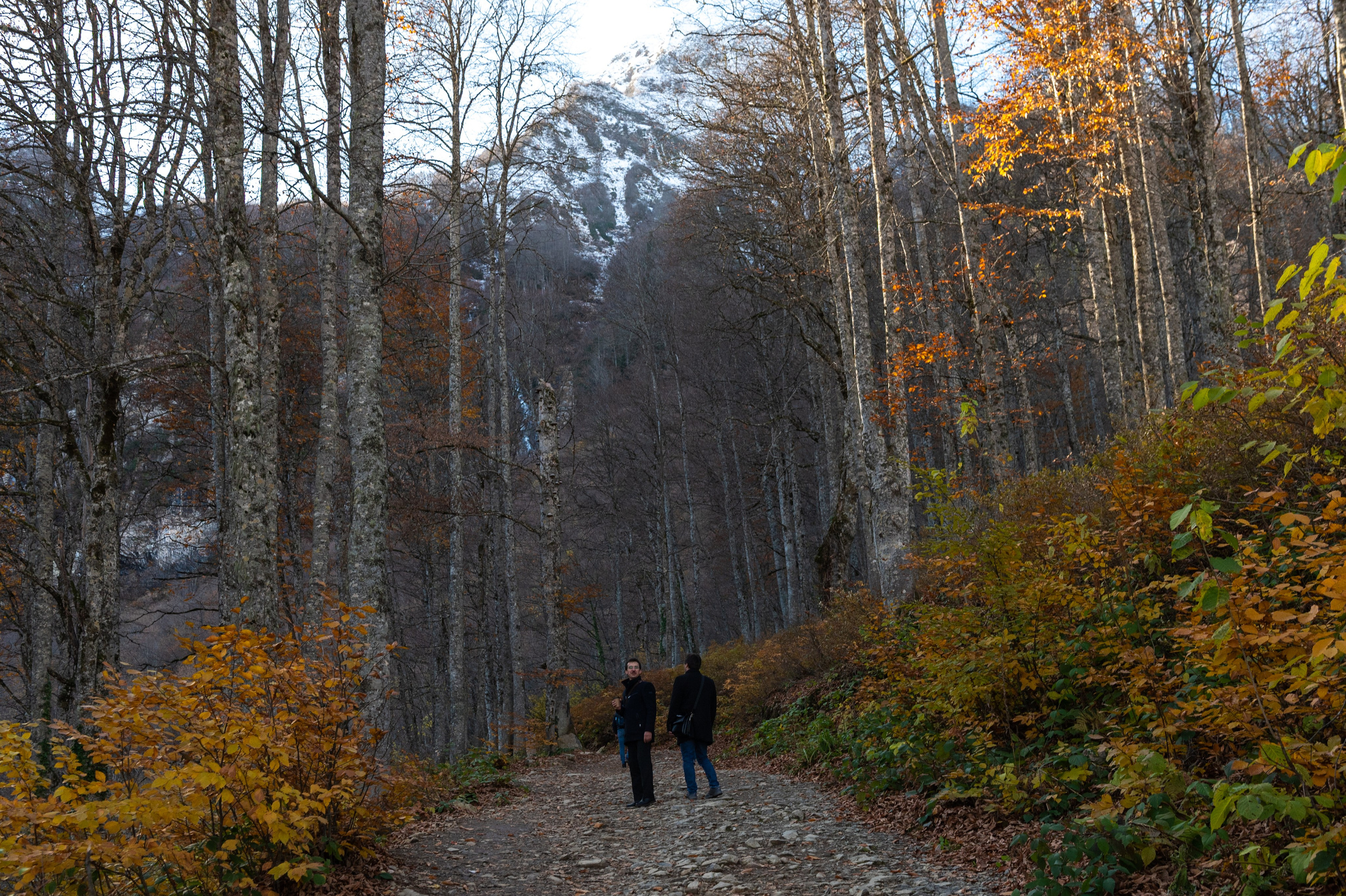 Mice мероприятие — прогулка на водопад Поликаря на курорте Красная Поляна. Репортажный фотограф в Красной Поляне и Сочи Павлюченко Екатерина