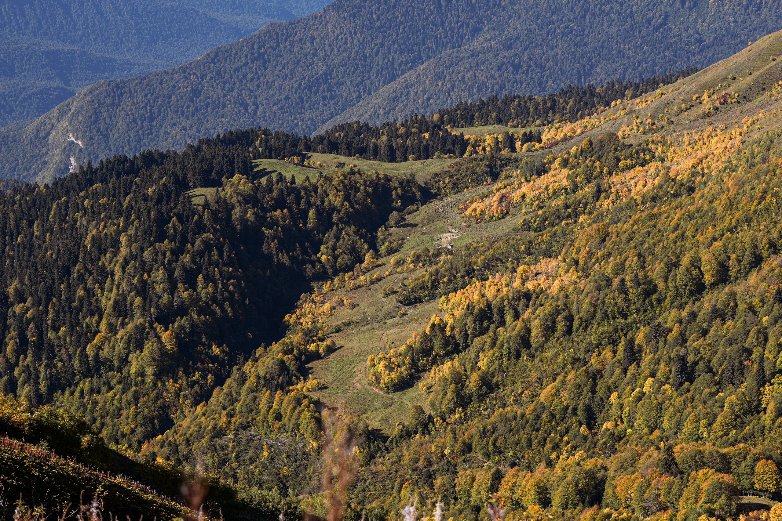 Ыаывы. Репортажный фотограф в Красной Поляне и Сочи Павлюченко Екатерина