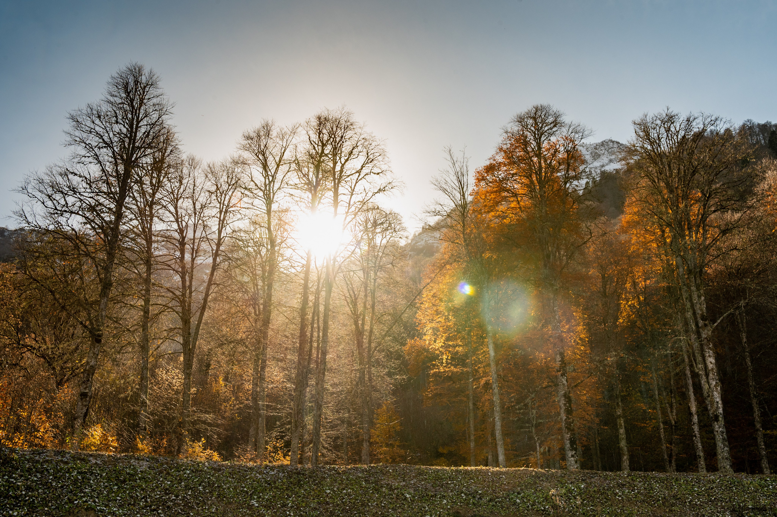 Mice мероприятие — прогулка на водопад Поликаря на курорте Красная Поляна. Репортажный фотограф в Красной Поляне и Сочи Павлюченко Екатерина