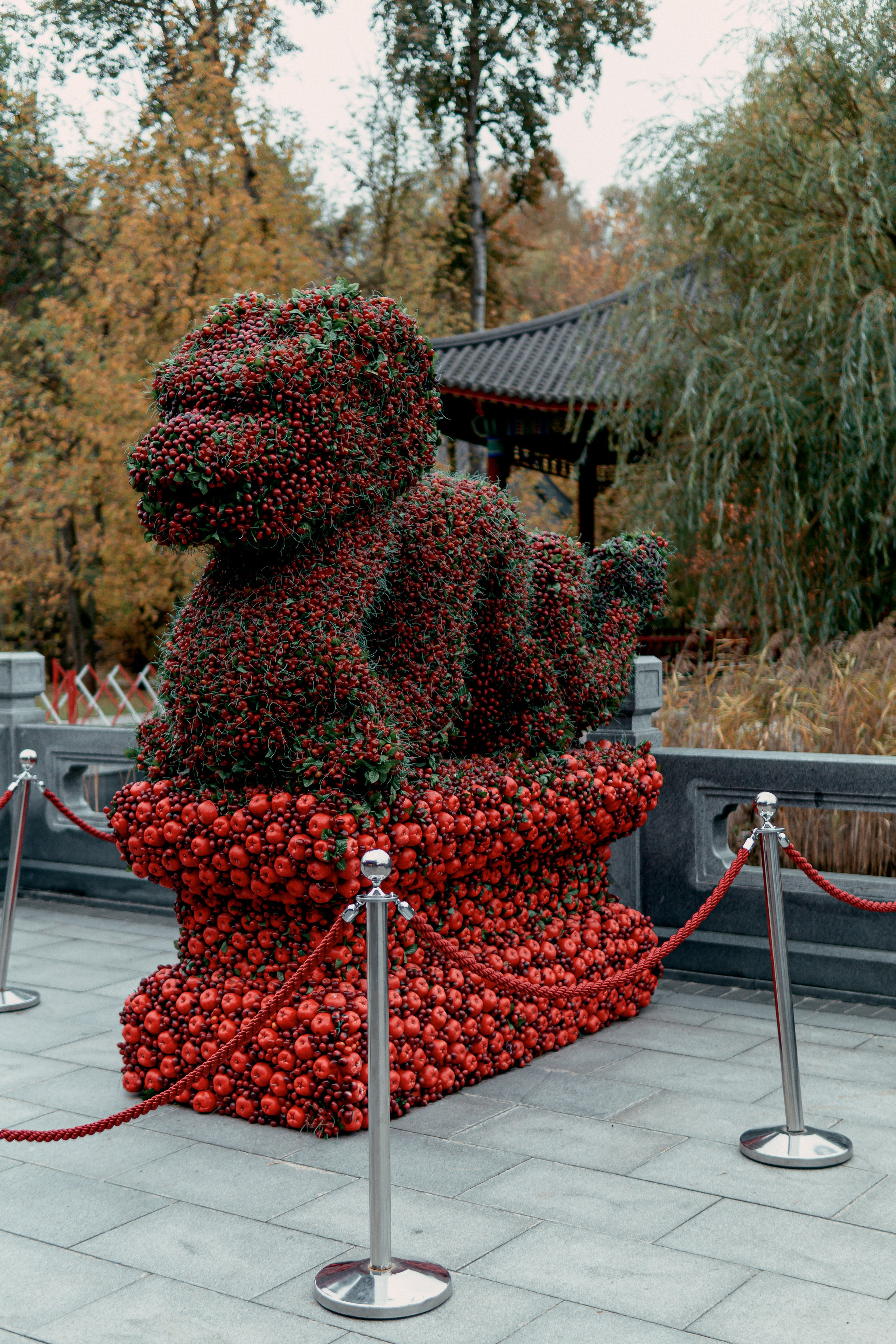 Китайский сад Хуамин. Алексей Никифоров свадебный и семейный фотограф Москва, Химки