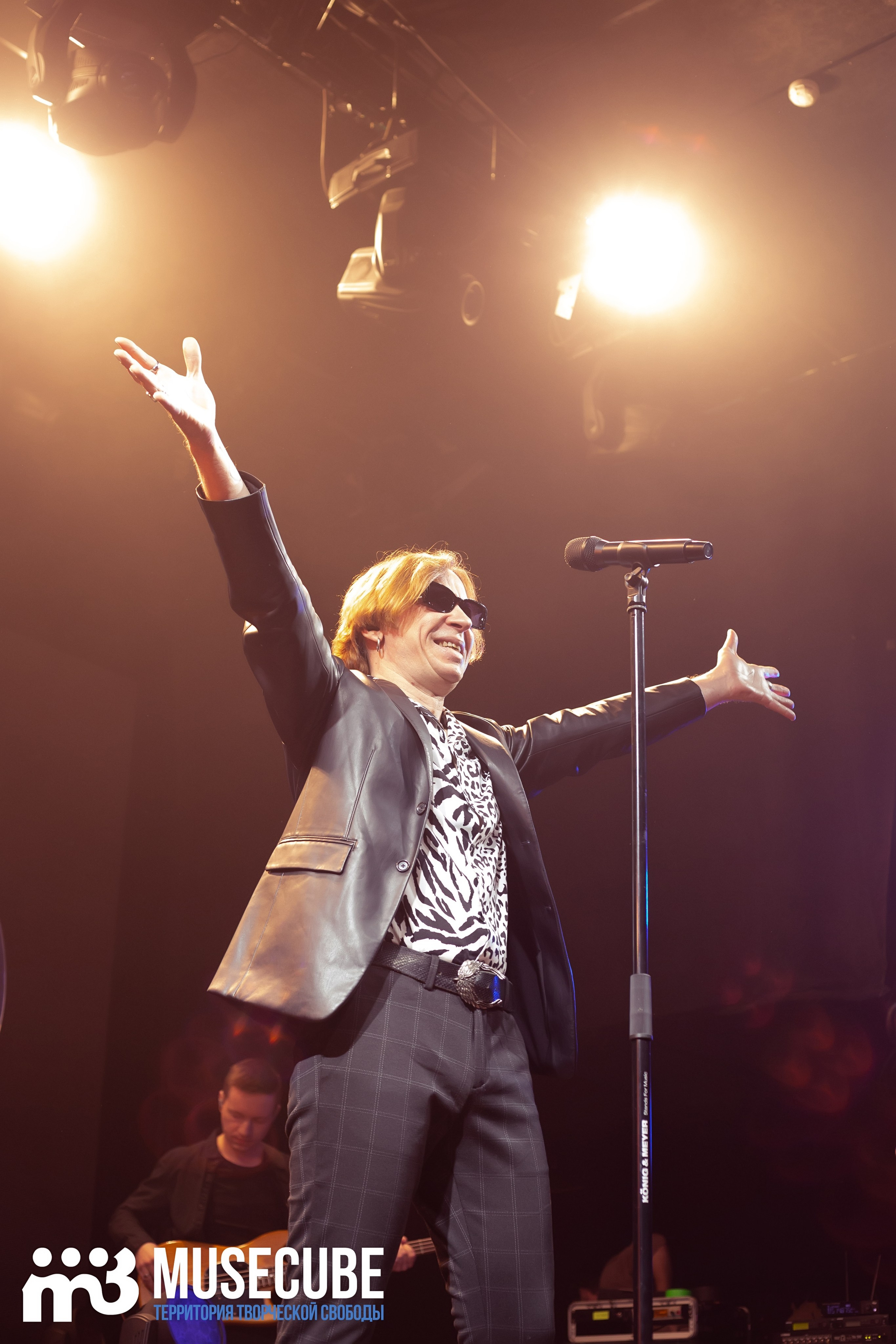 Фотосъемка концерта Найк Борзов Космонавт СПБ. Портретные фотосессии, контент-съемки, репортаж
