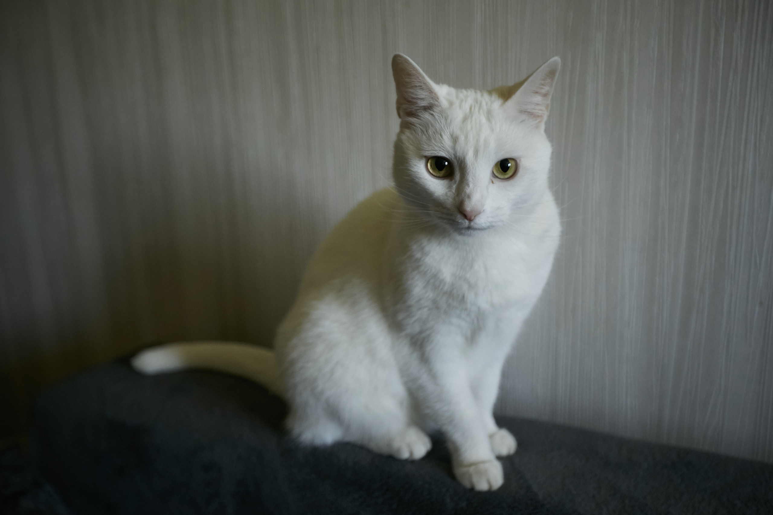 Свадьба Ивана и Виктории