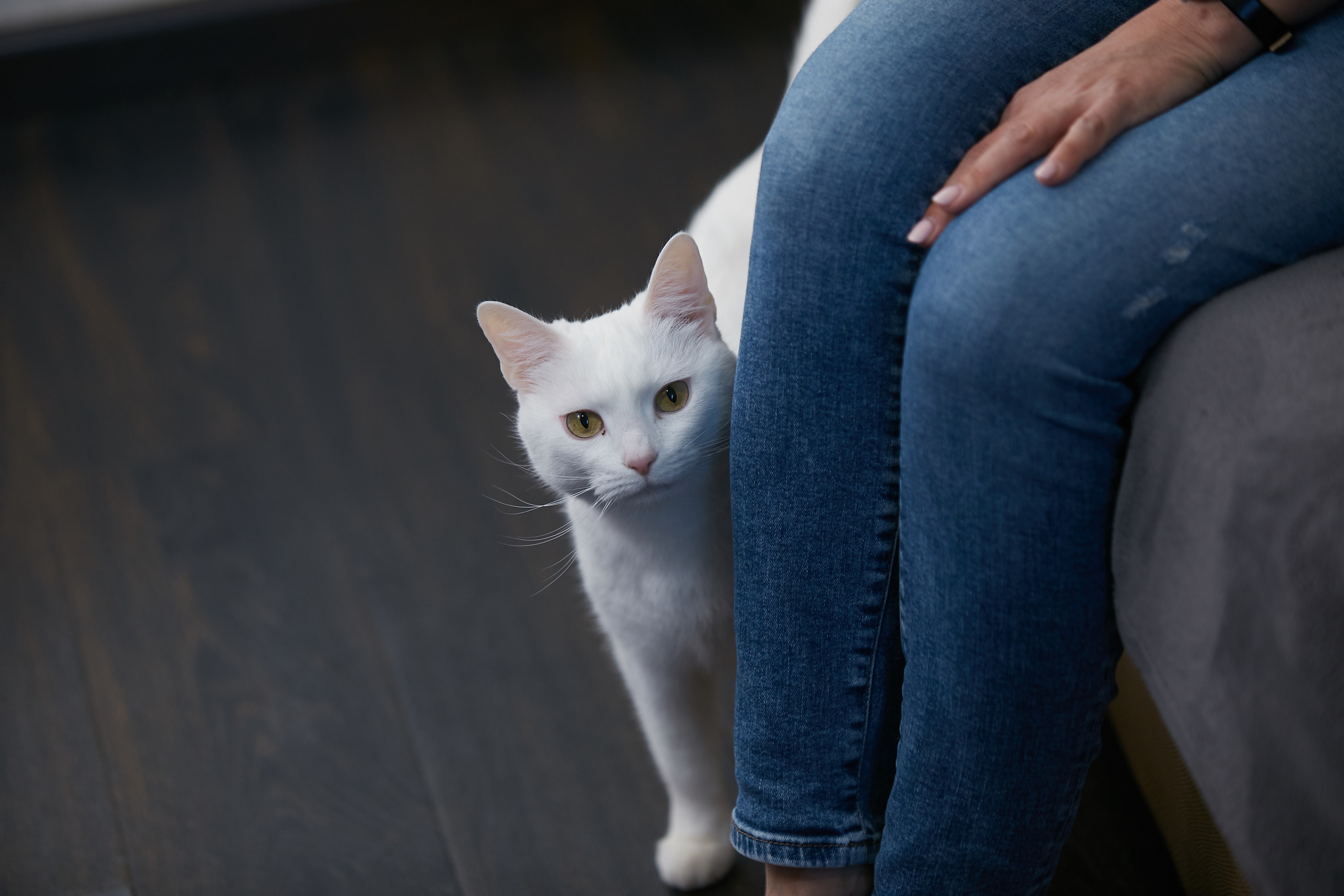 Свадьба Ивана и Виктории