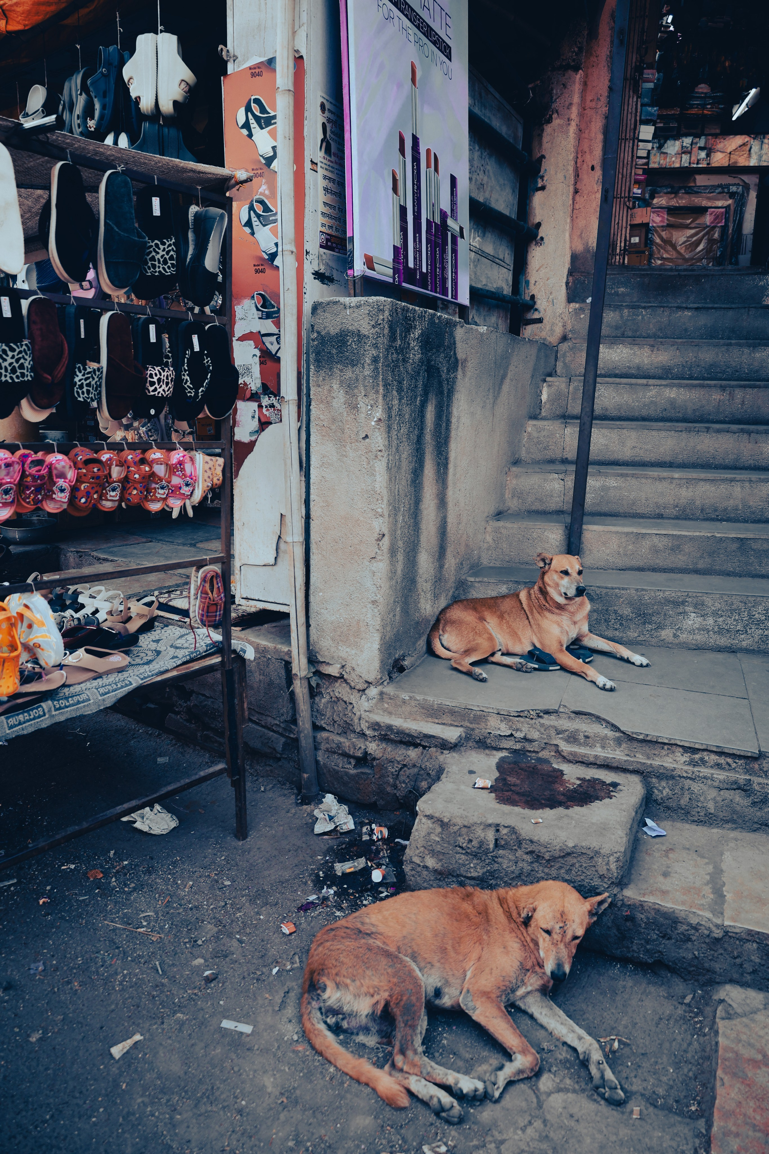 India. Фотограф в Москве