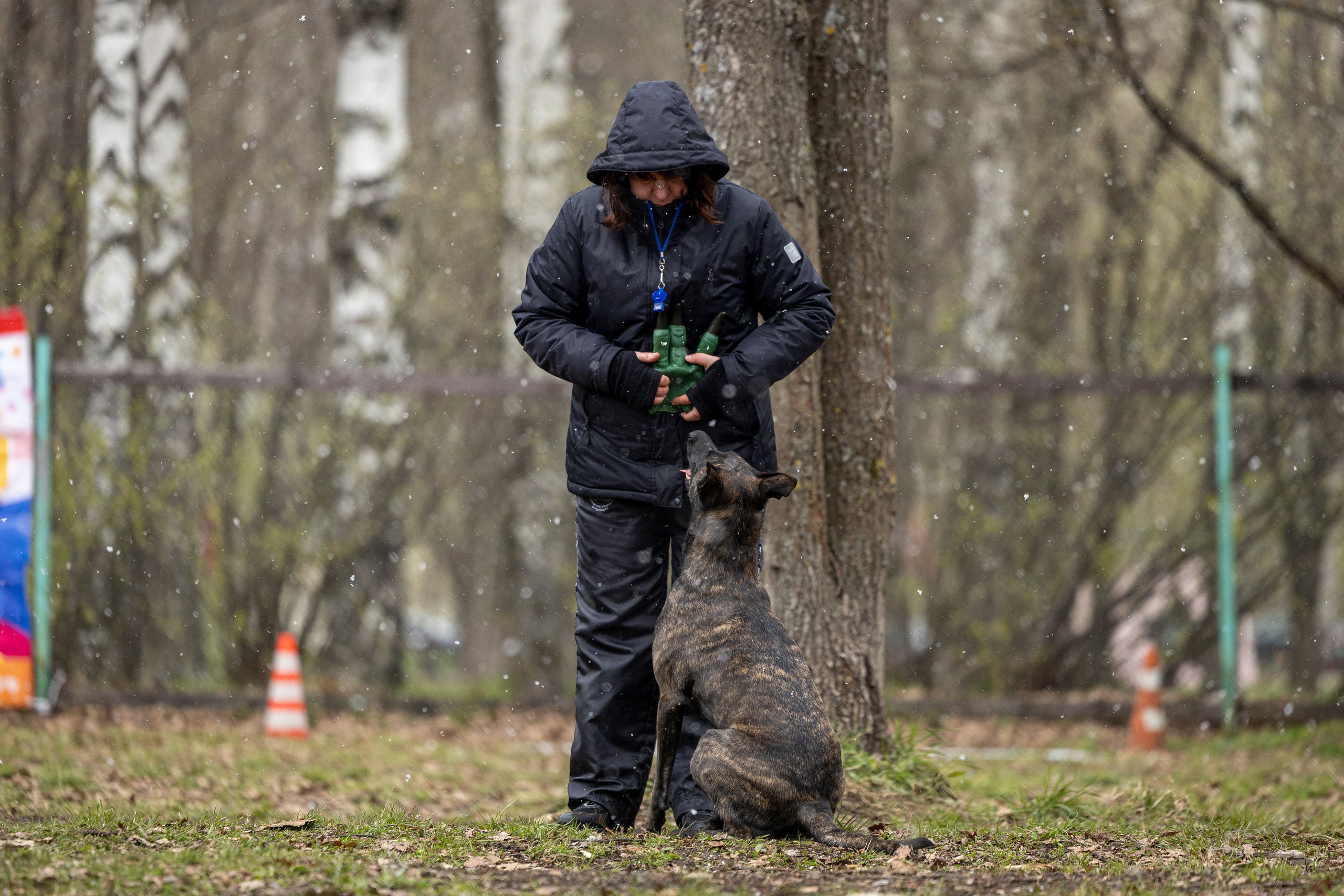 Квалификационные состязания по мондьорингу г. Вологда 11.05.24. Фотограф-анималист Анна Маринич
