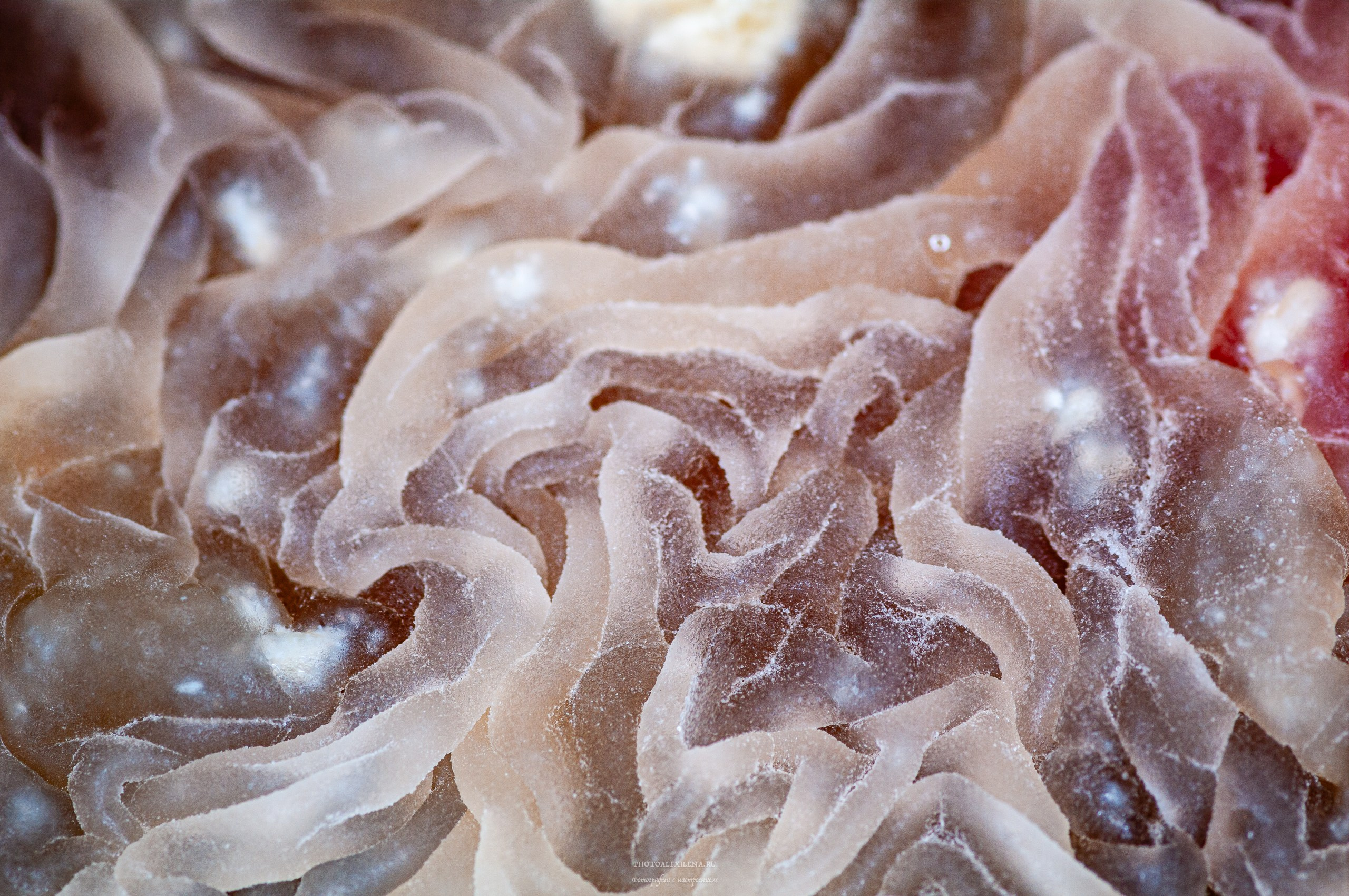 Осязаемая красота. Авторские стильные фотокартины