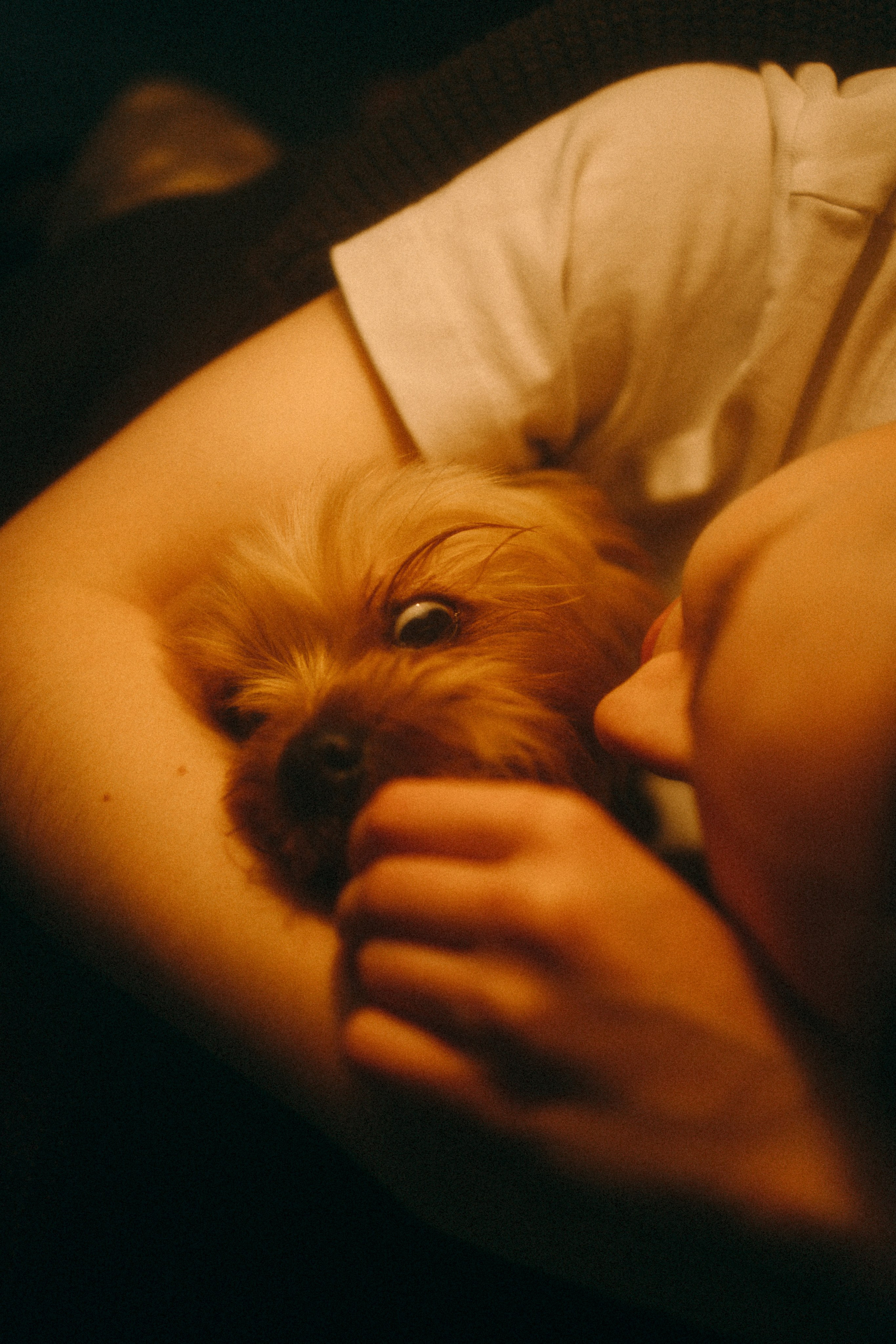 Ричард и Ксюша. Фотограф анималист Анастасия Пикей