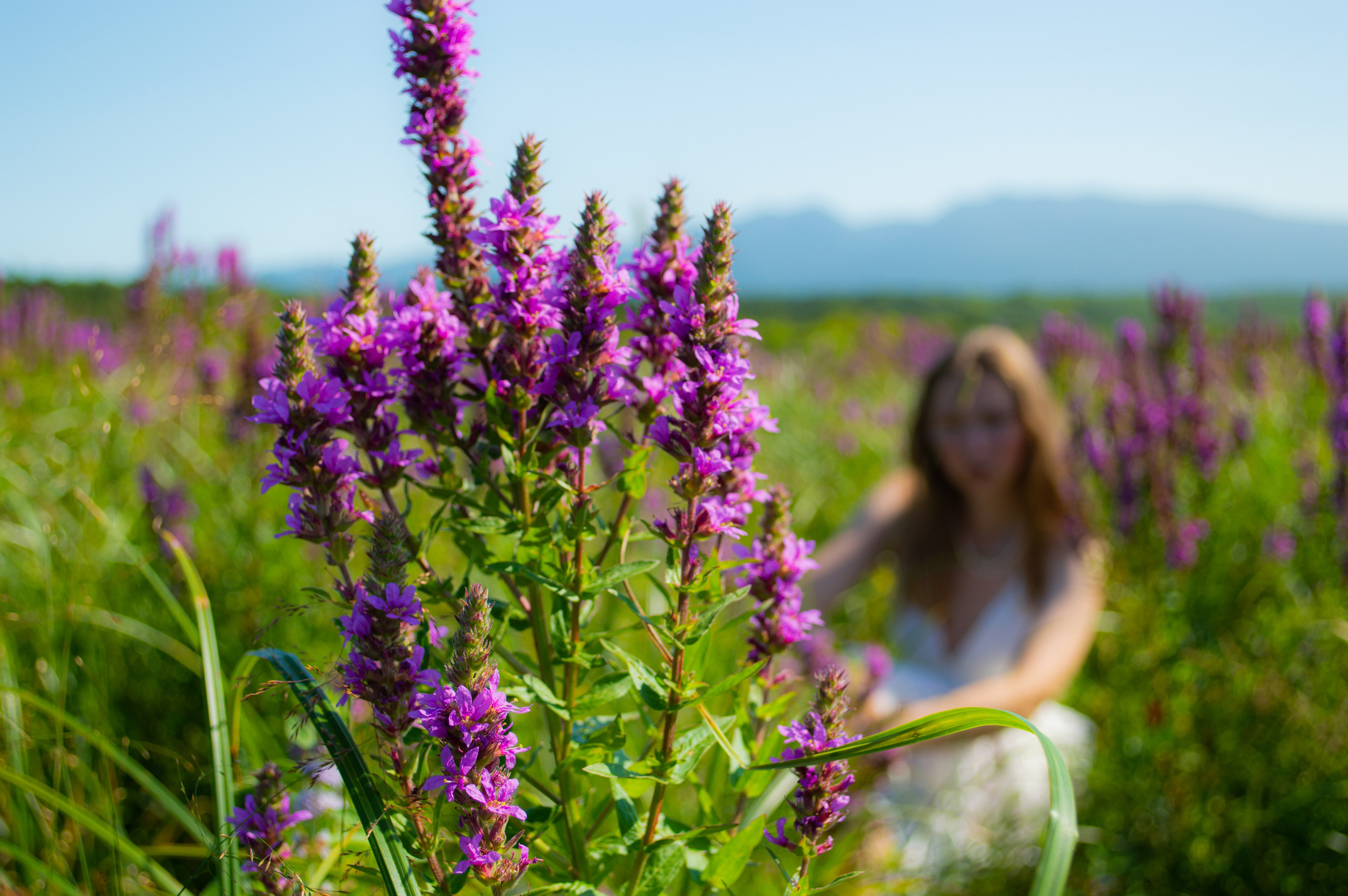 Alina. Свадебный фотограф в Южно-Сахалинске Валерий Харченко