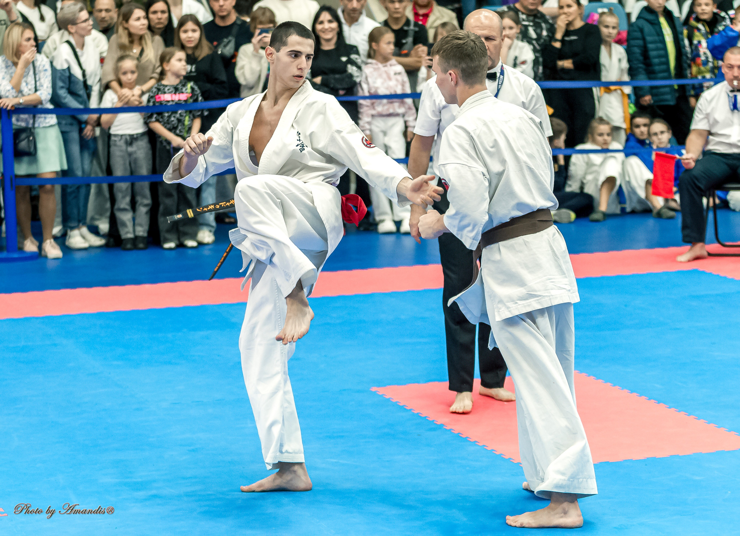 Чемпионат по Киокушинкай Центрального Федерального округа. Репортажная съемка в Москве и области. Анималистика