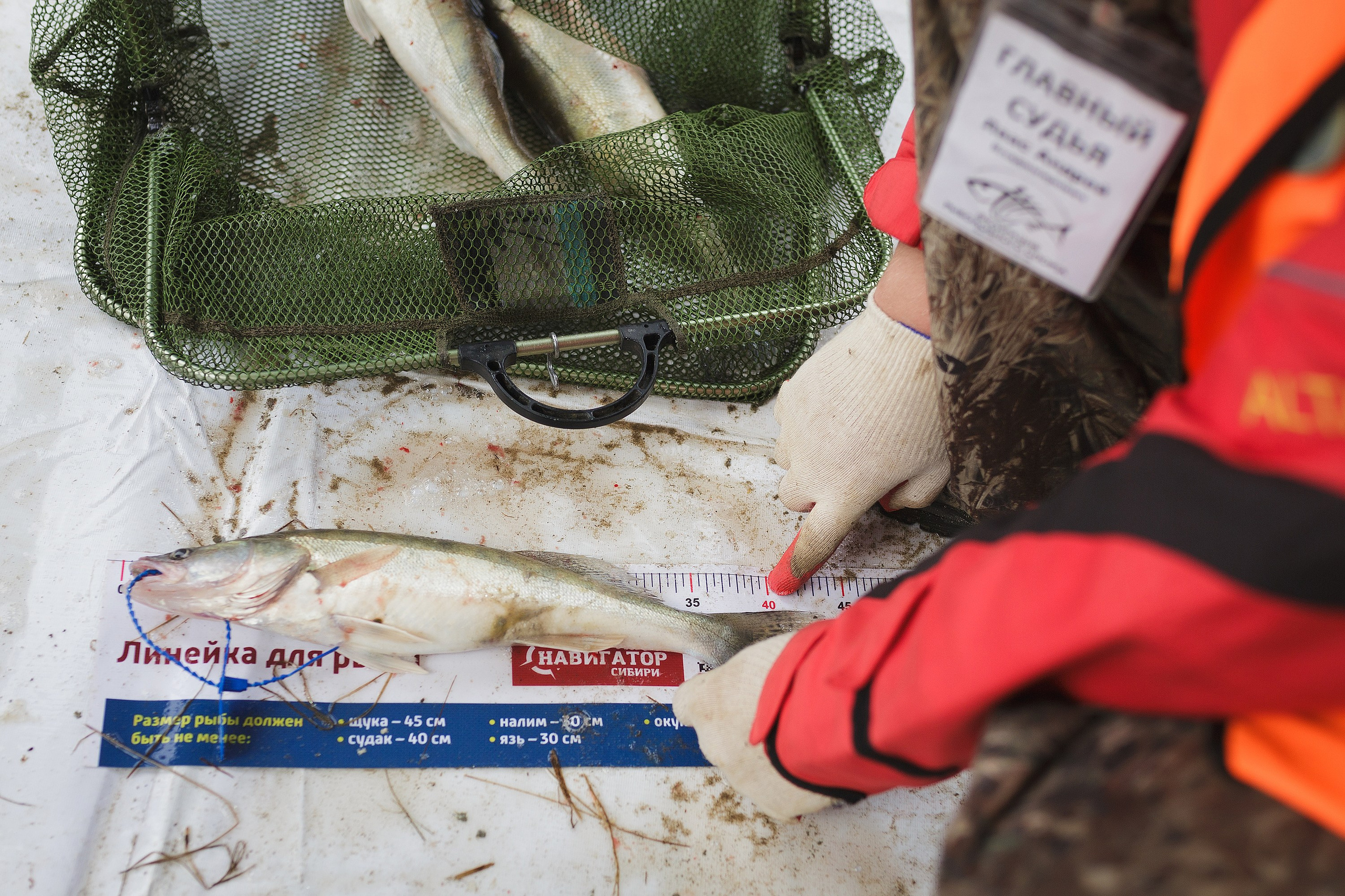 АКТИВНЫЙ ОТДЫХ. Roman Photo