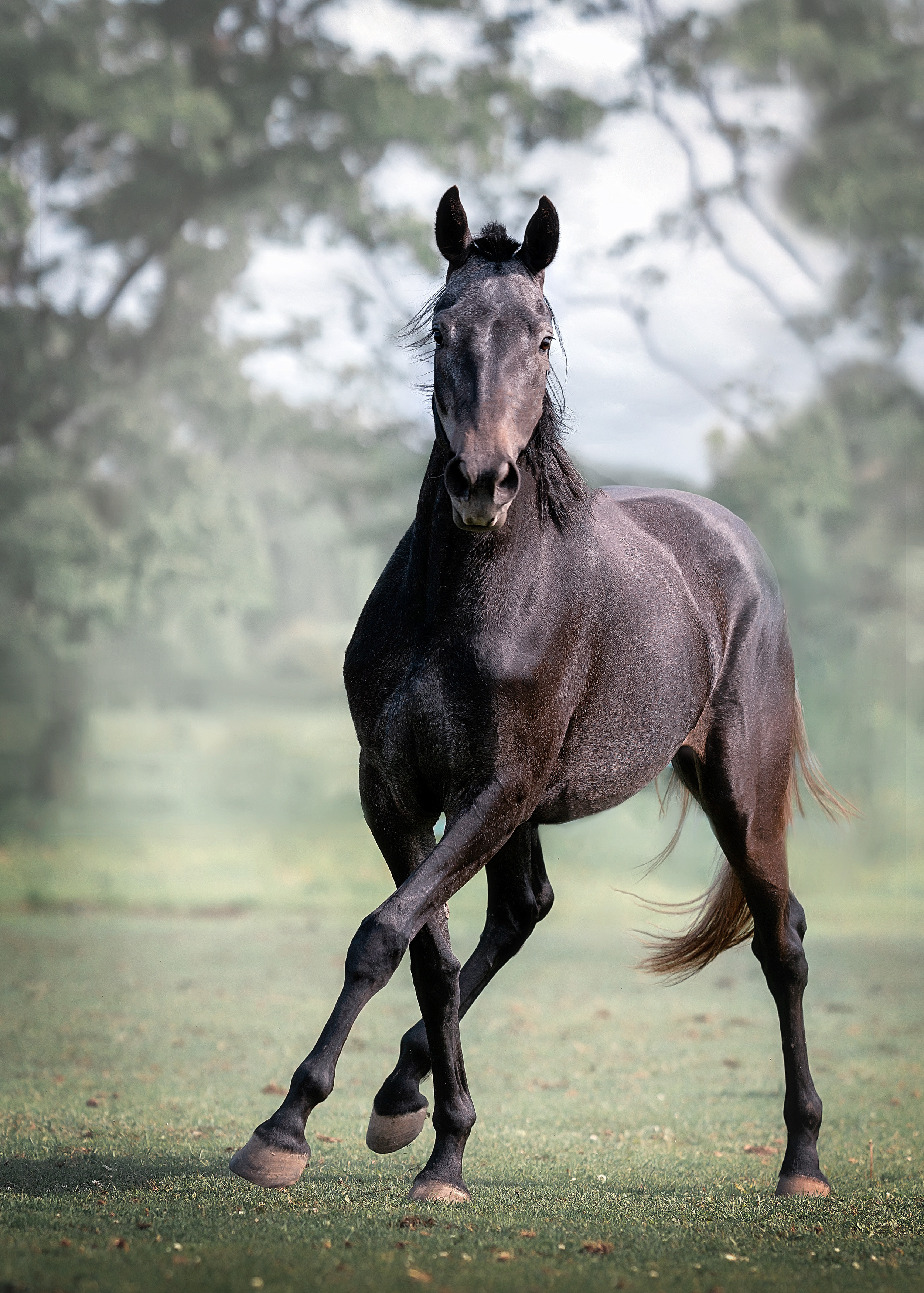 Фотографии животных. Фотограф Кочнова Диана город Владивосток