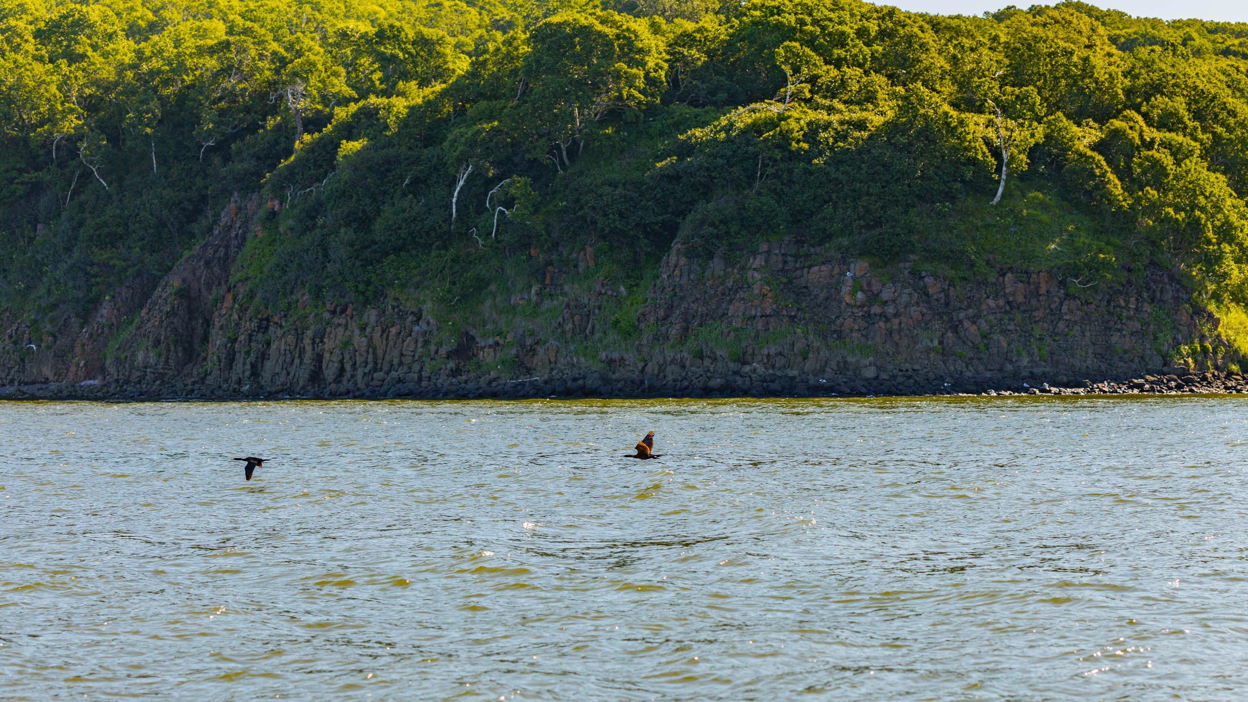 2023 07 Камчатка. Фотографии