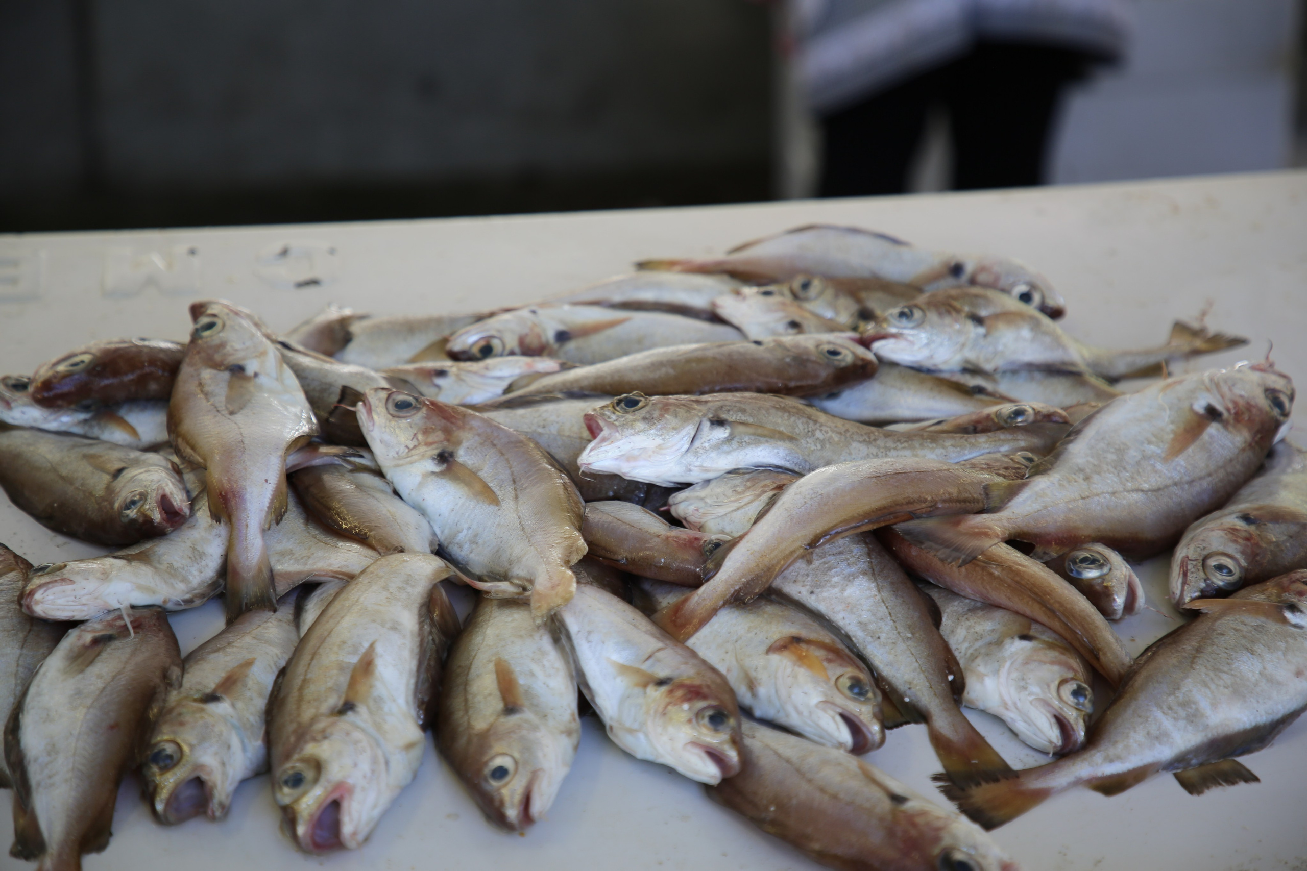 Espihnio, Portugal. Andrey Filippov Photographer