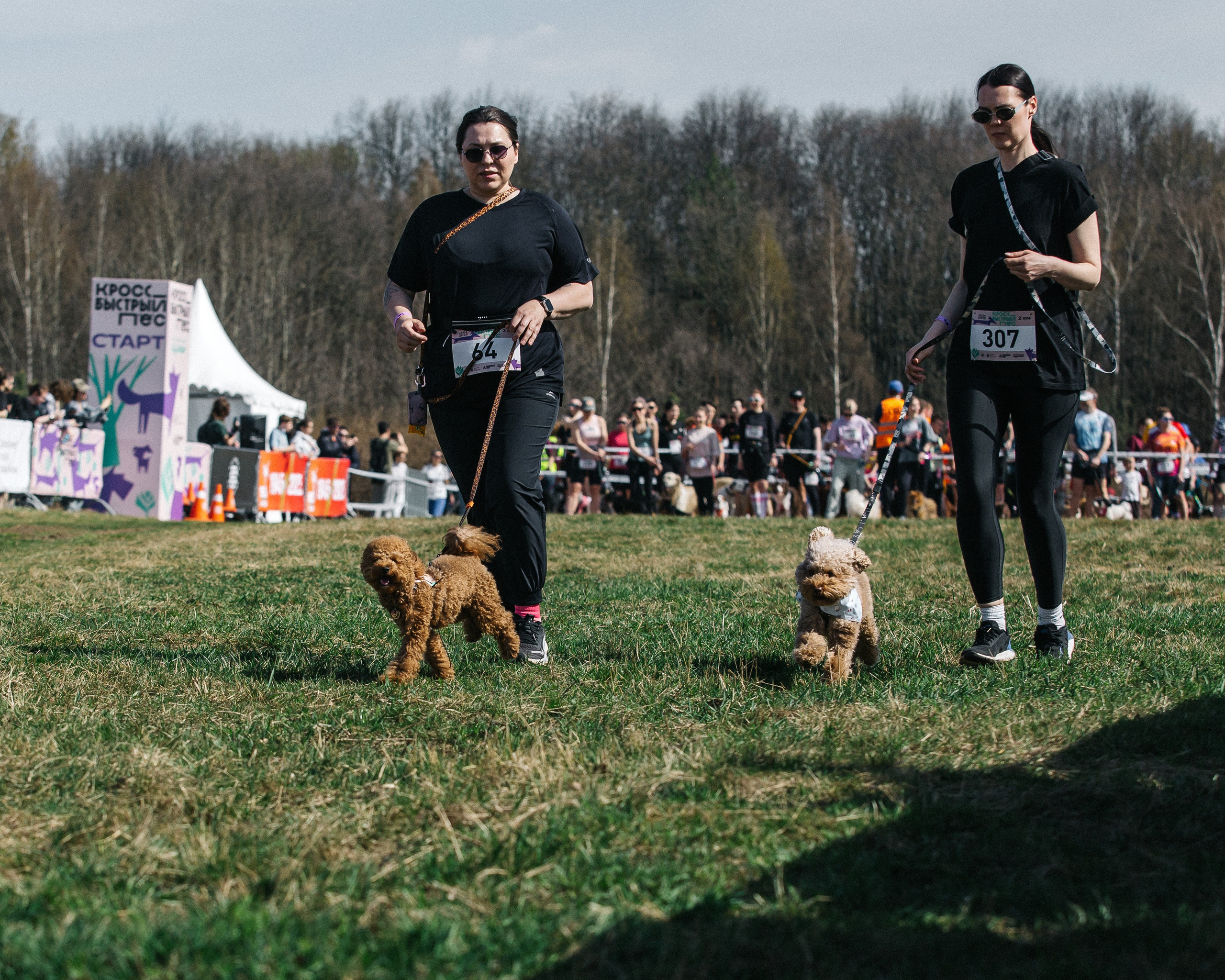 Кросс «Быстрый пёс» 2025. Репортажный фотограф в Москве