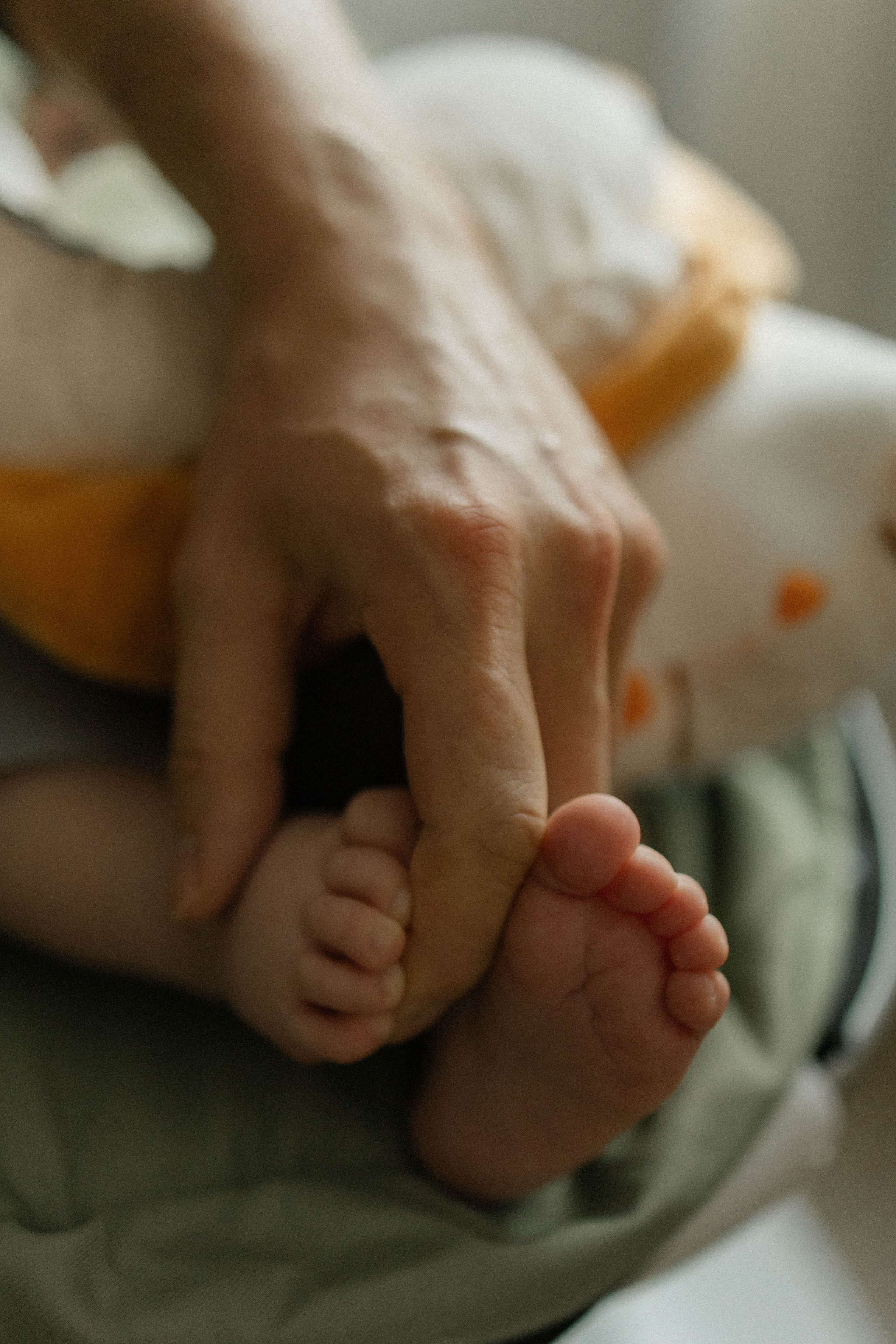 6 месяцев с домашними. Фотография о важном